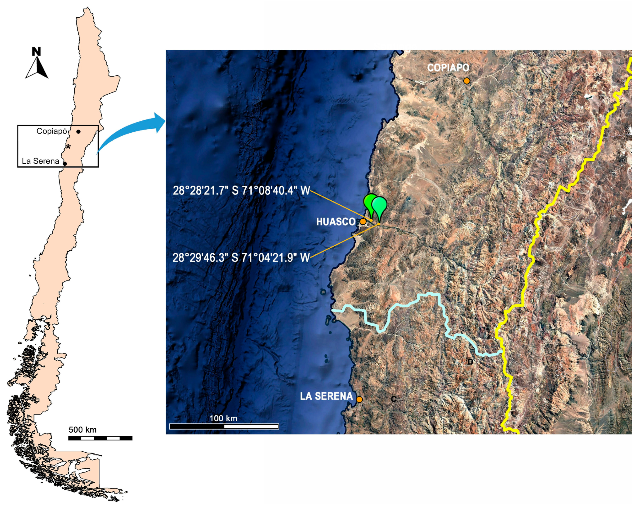 Taxonomy 05 00056 g001 Taxonomy 05 00056 g001