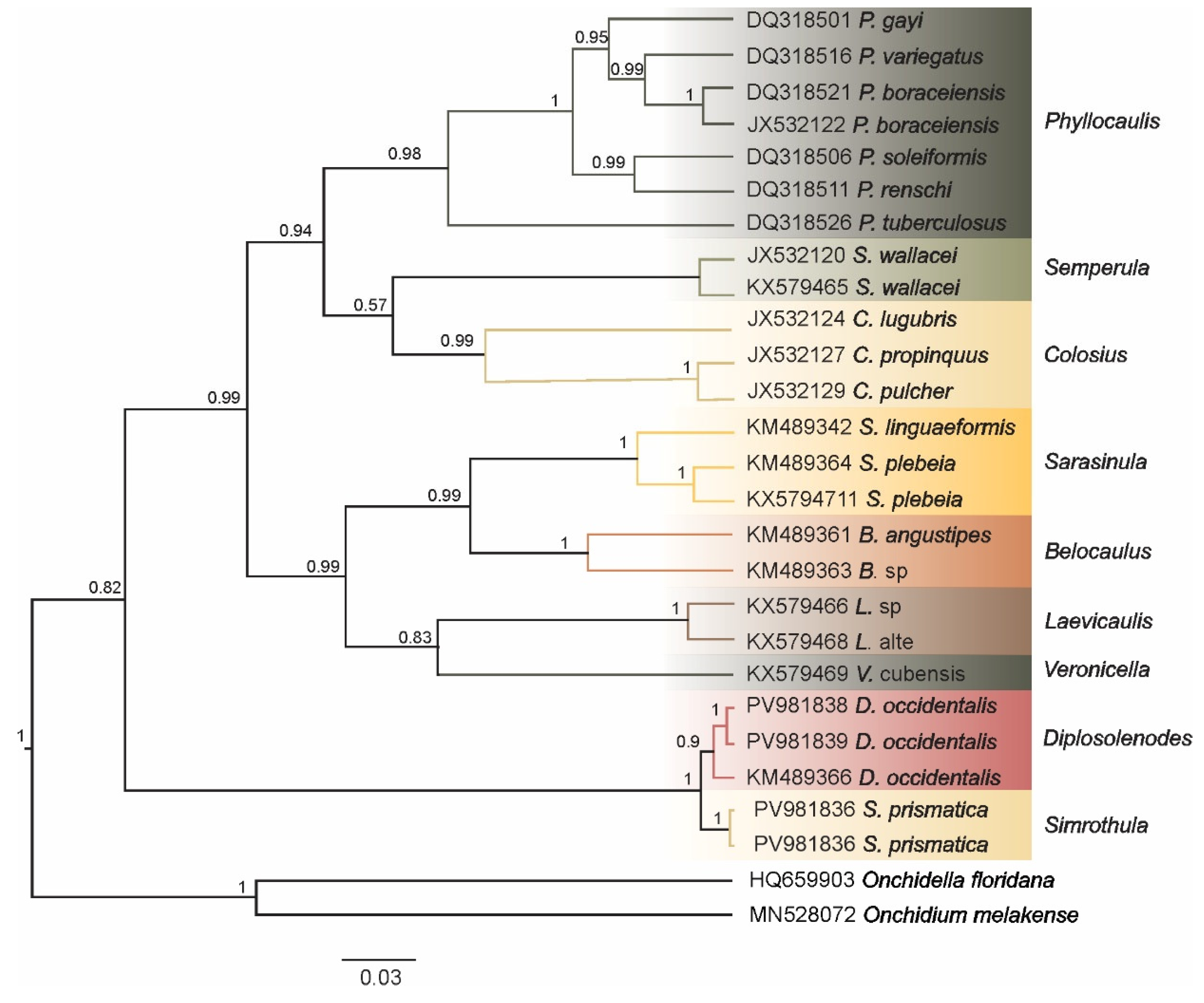 Taxonomy 05 00058 g004