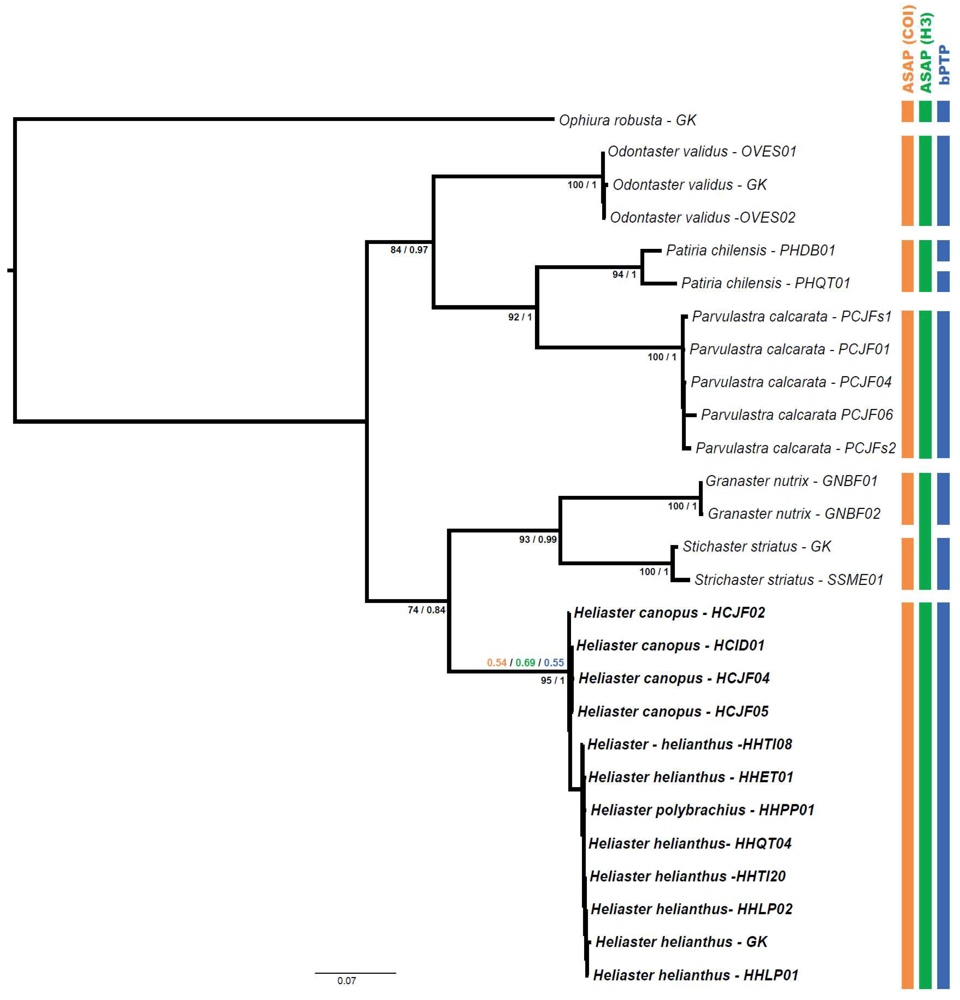 Taxonomy 05 00059 g008