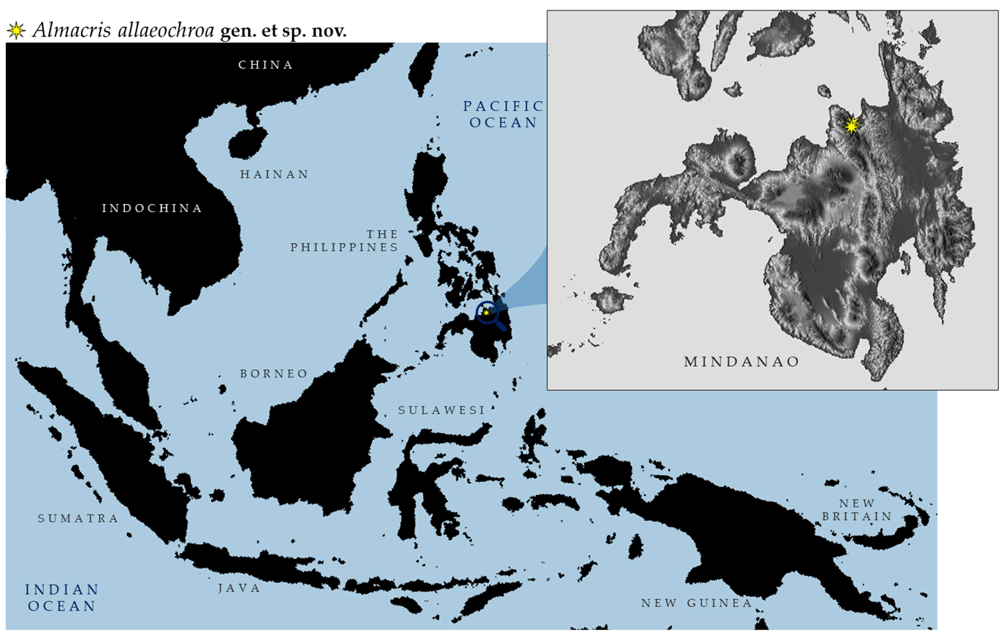 Taxonomy 05 00060 g006