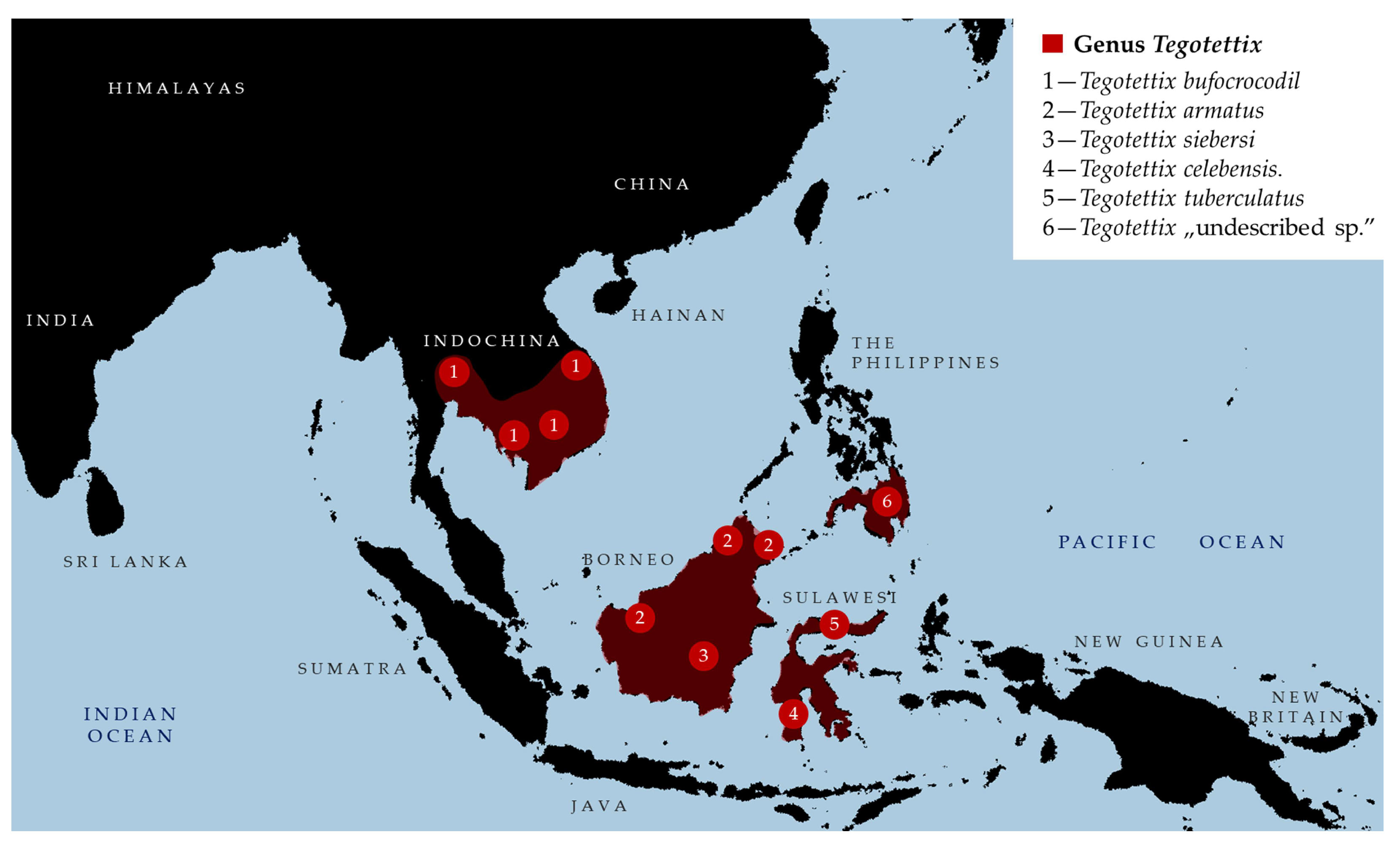 Taxonomy 05 00060 g016