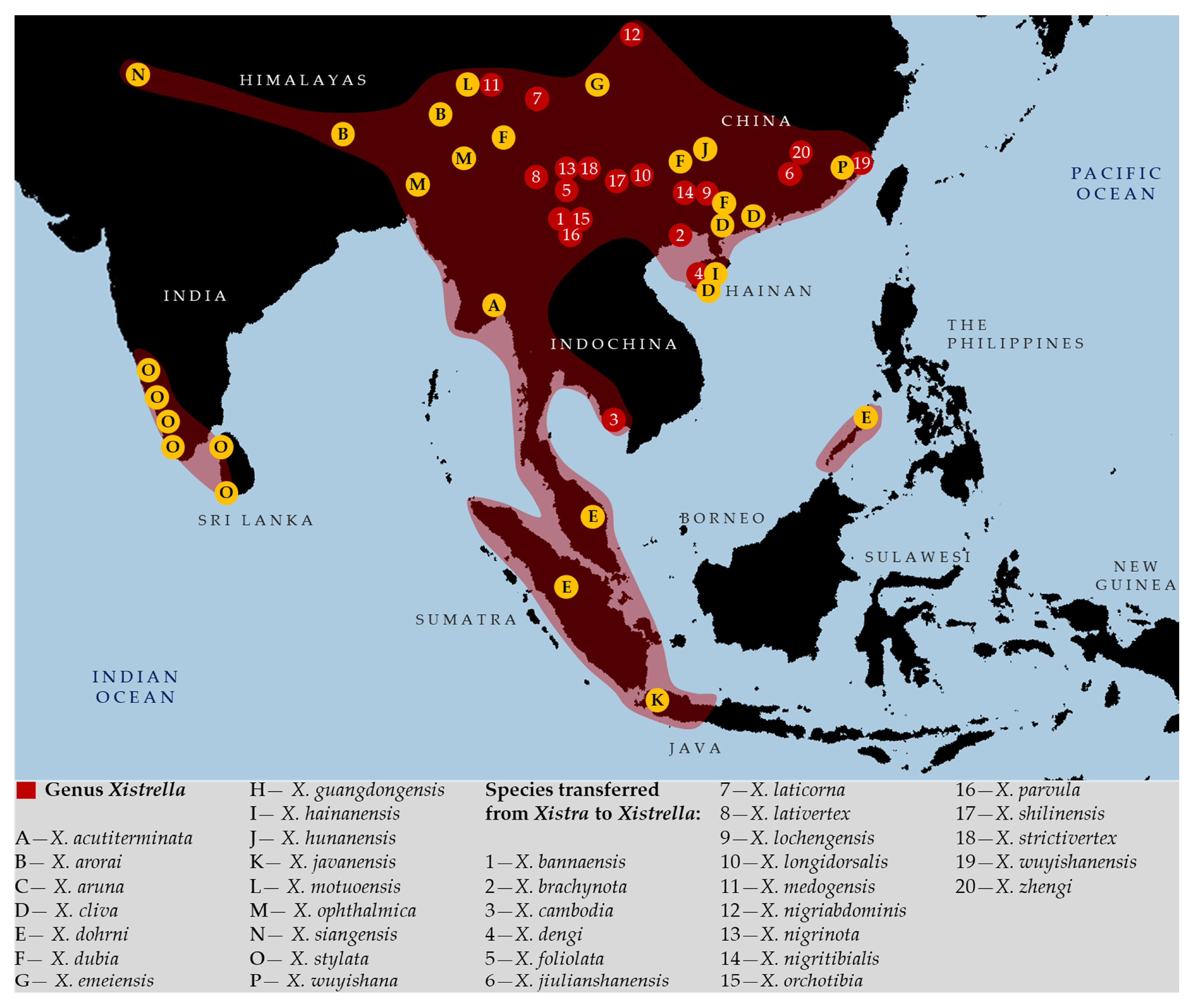 Taxonomy 05 00060 g018