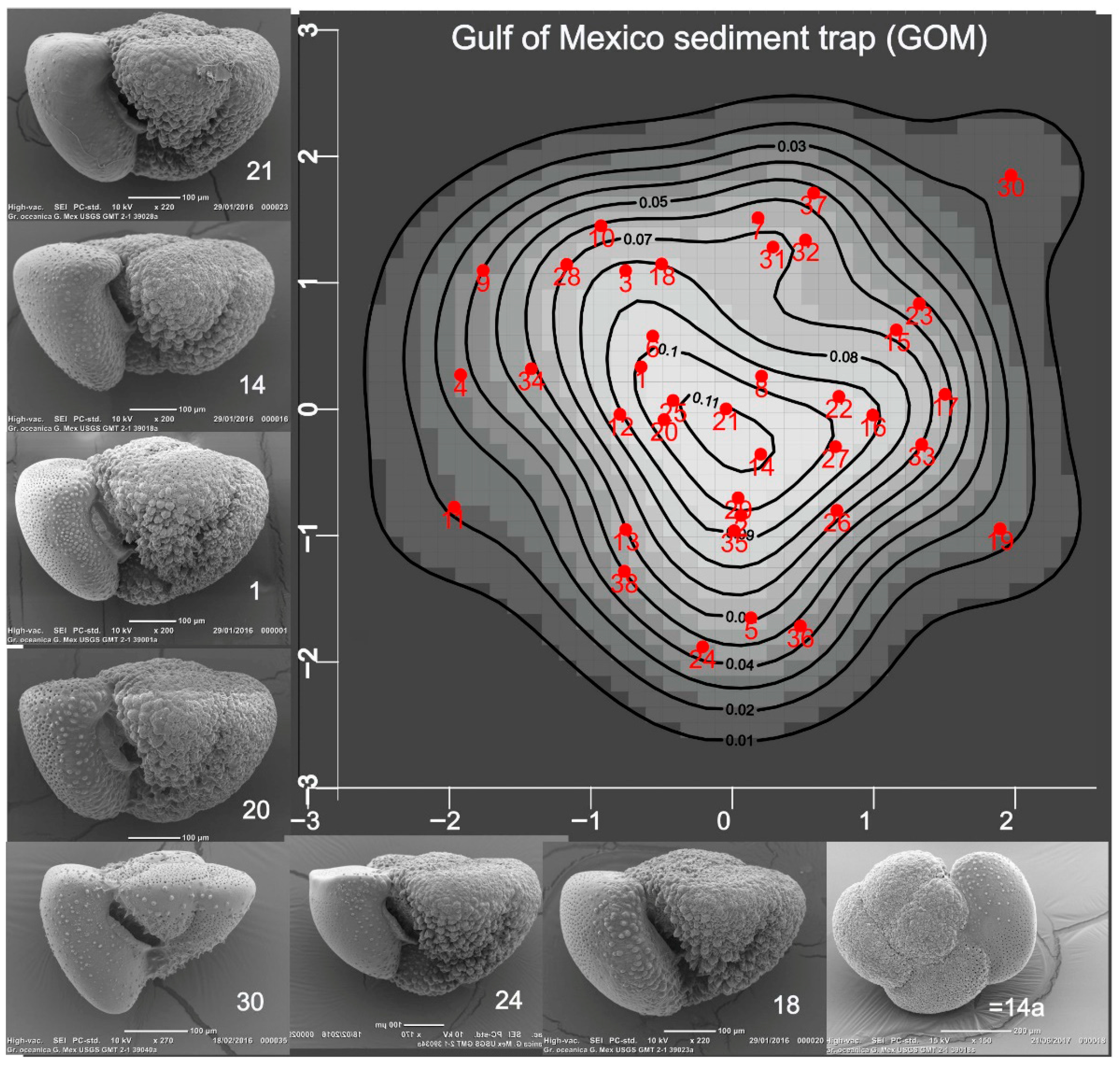 Taxonomy 05 00062 g002 Taxonomy 05 00062 g002