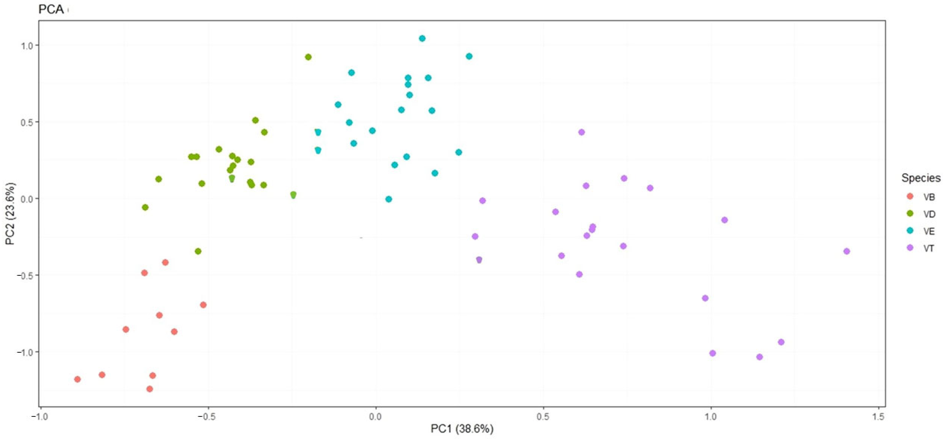 Taxonomy 05 00063 g009 Taxonomy 05 00063 g009