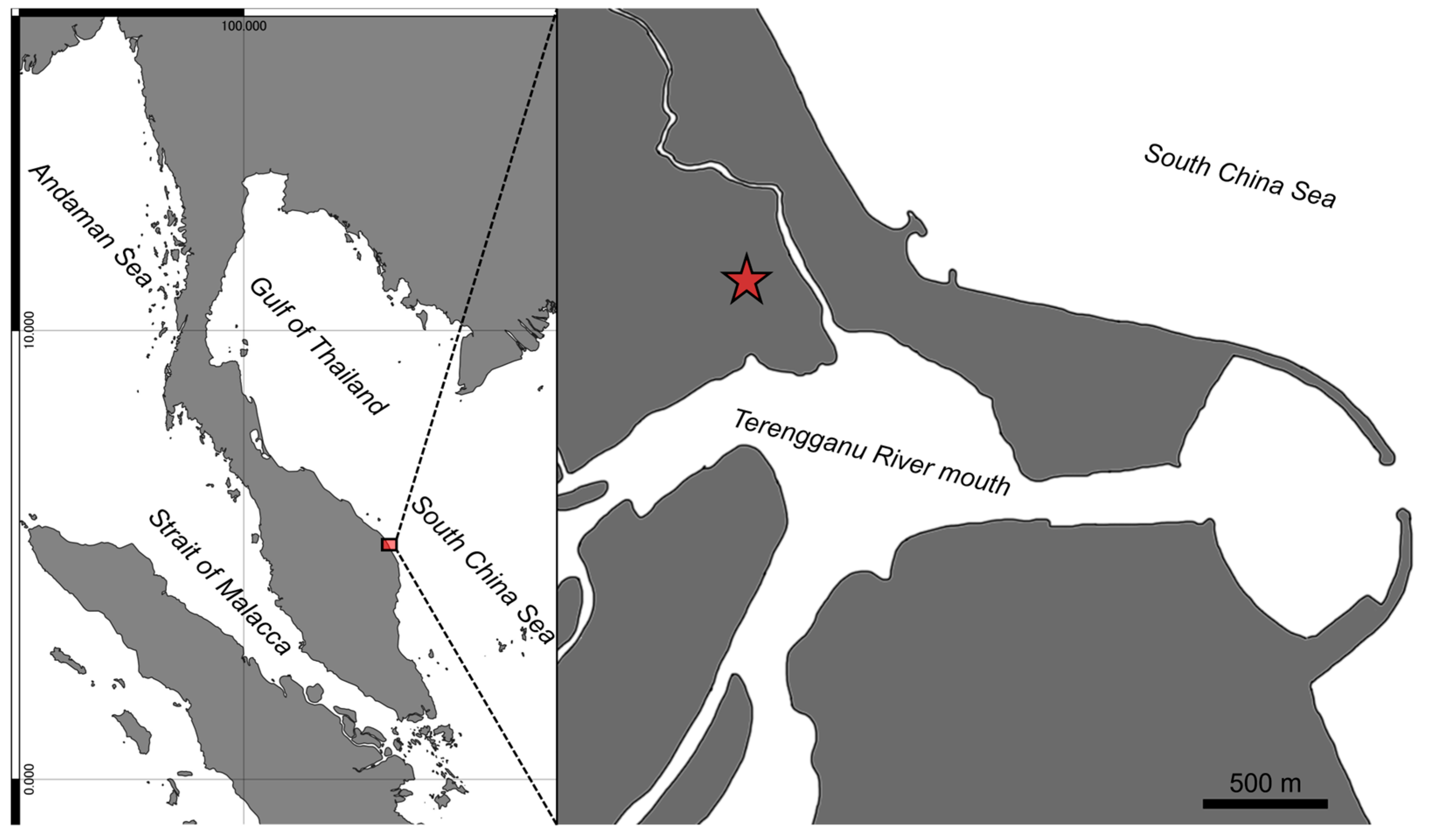 Taxonomy 05 00071 g005