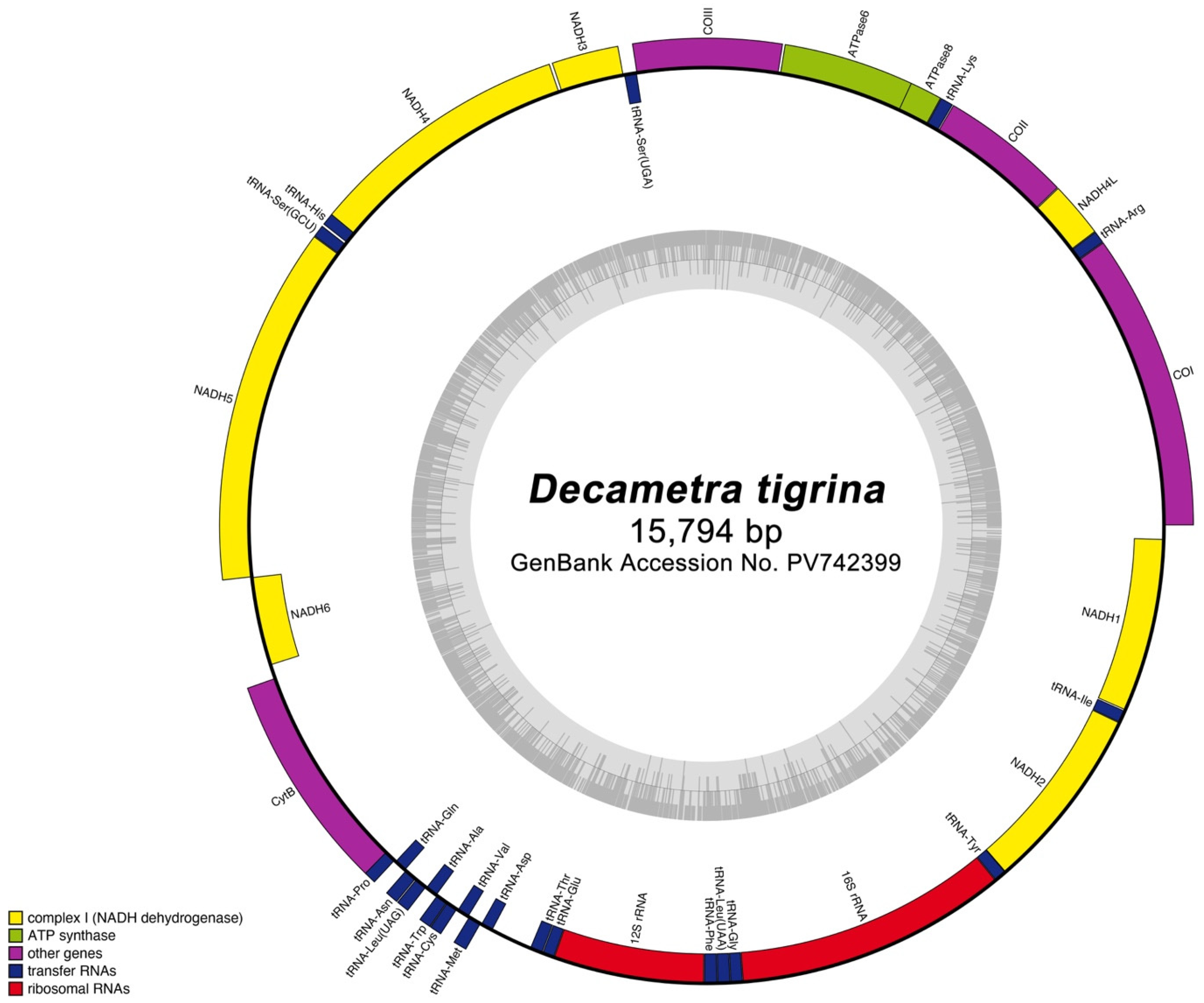 Taxonomy 06 00002 g002