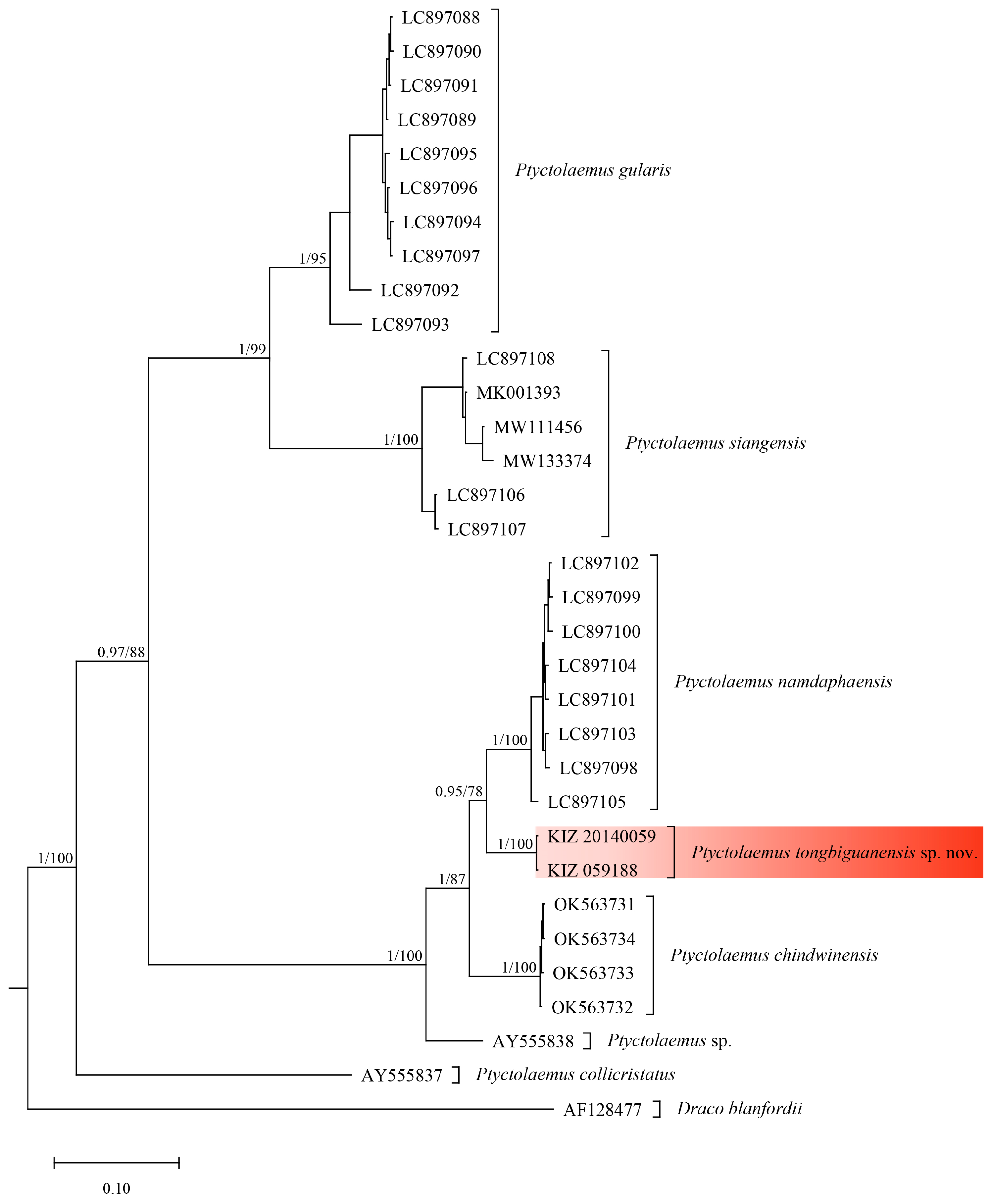 Taxonomy 06 00004 g001 Taxonomy 06 00004 g001