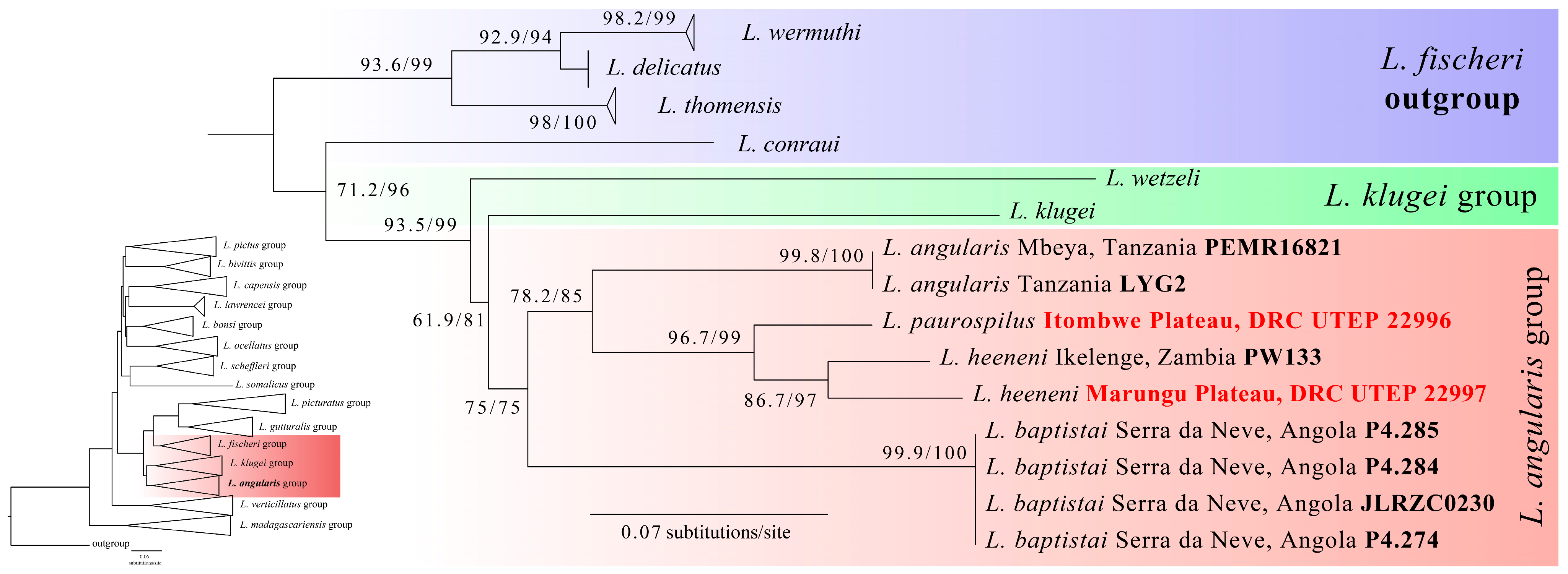 Taxonomy 06 00009 g003
