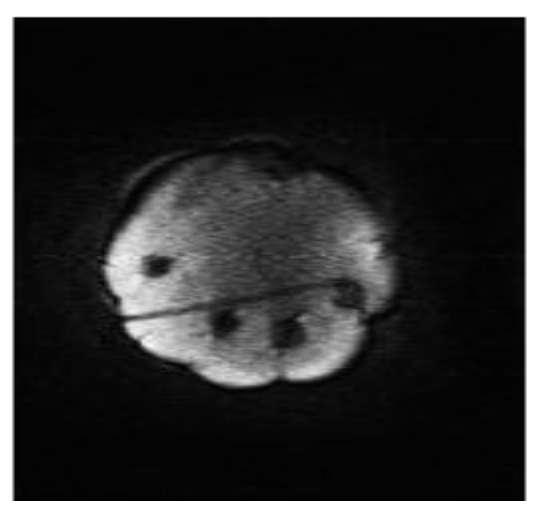 Technologies 01 00044 g005 1024