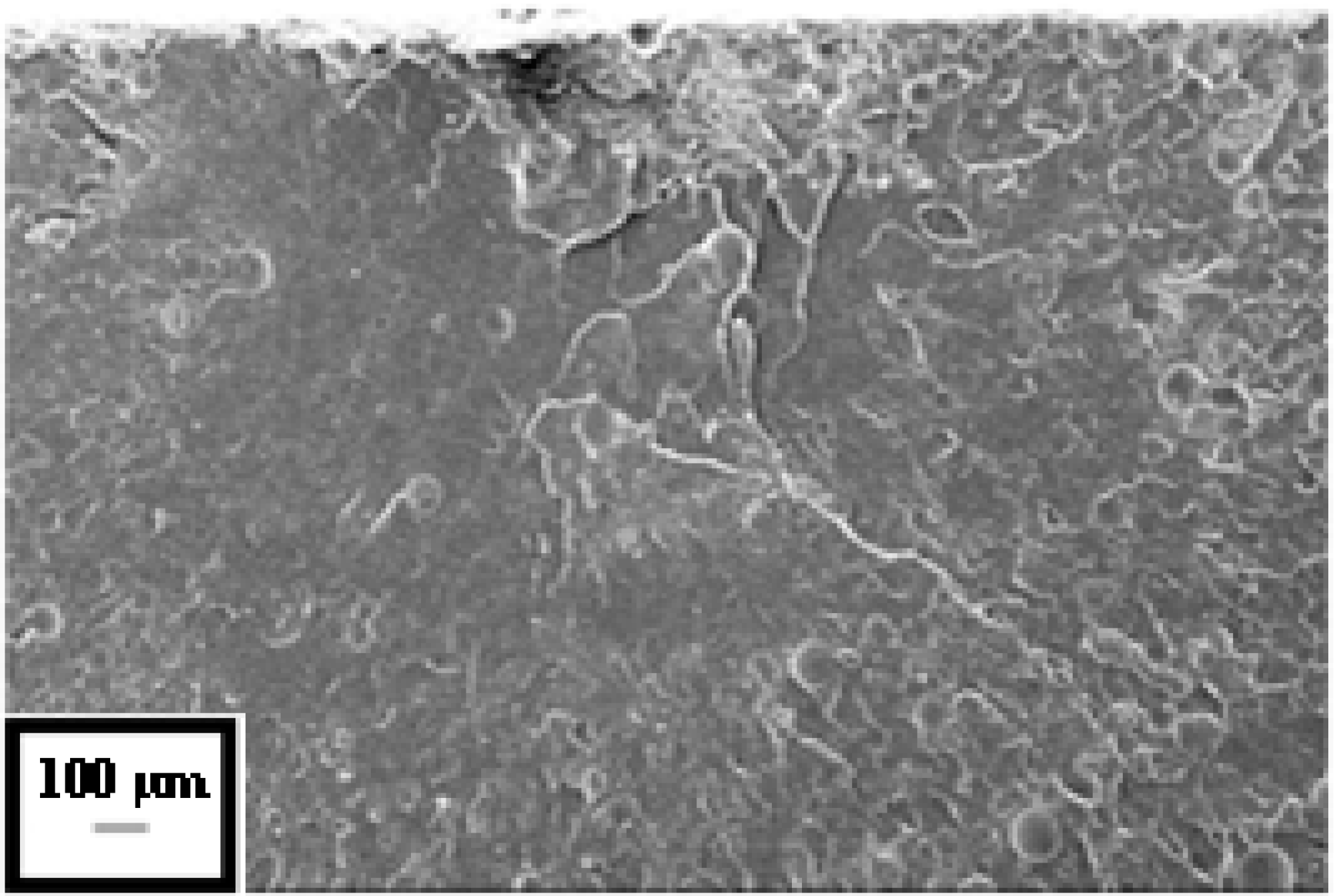 Technologies 03 00094 g004