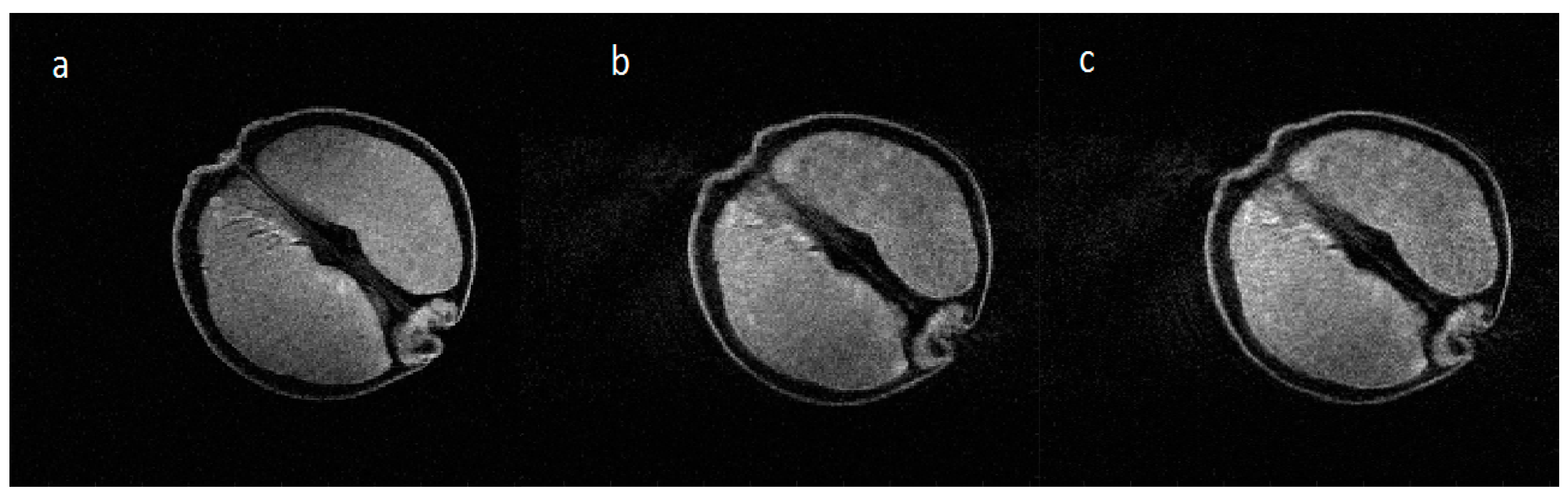 Technologies 05 00006 g008 550