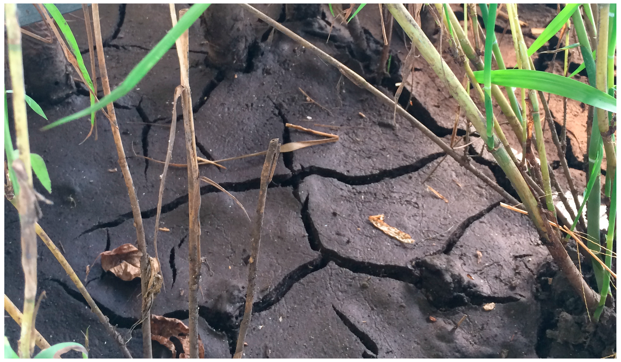 Technologies 05 00070 g002