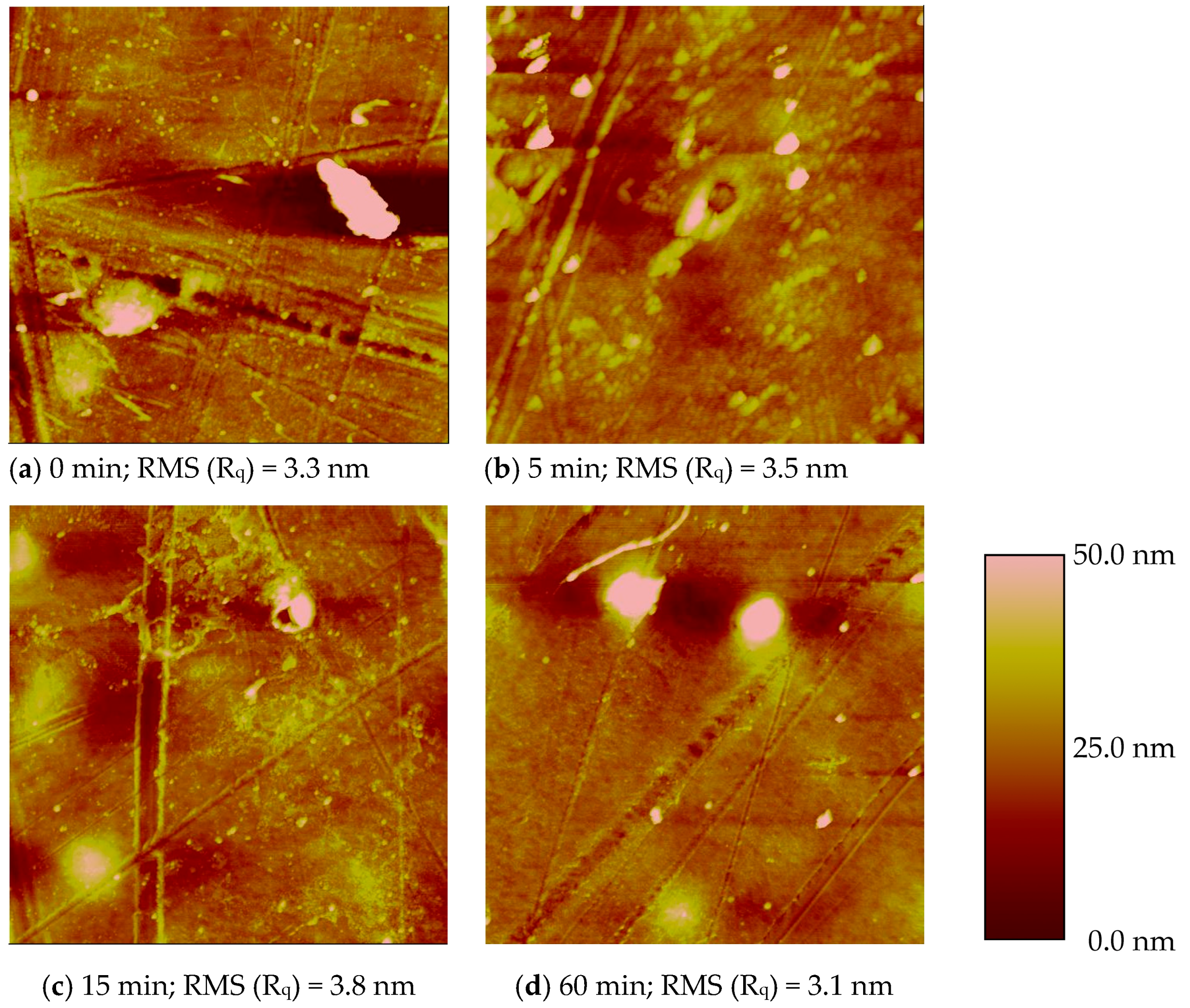 Technologies 06 00021 g004