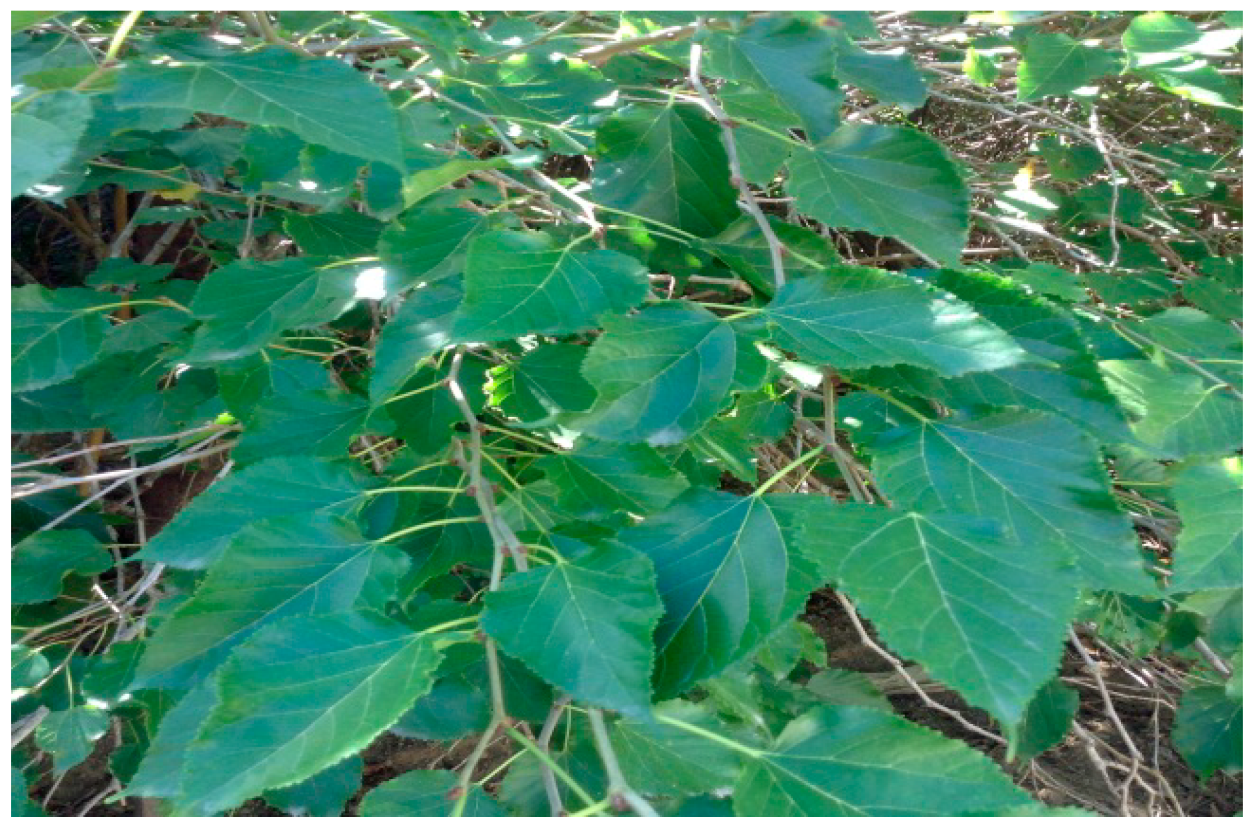 Technologies 07 00007 g001
