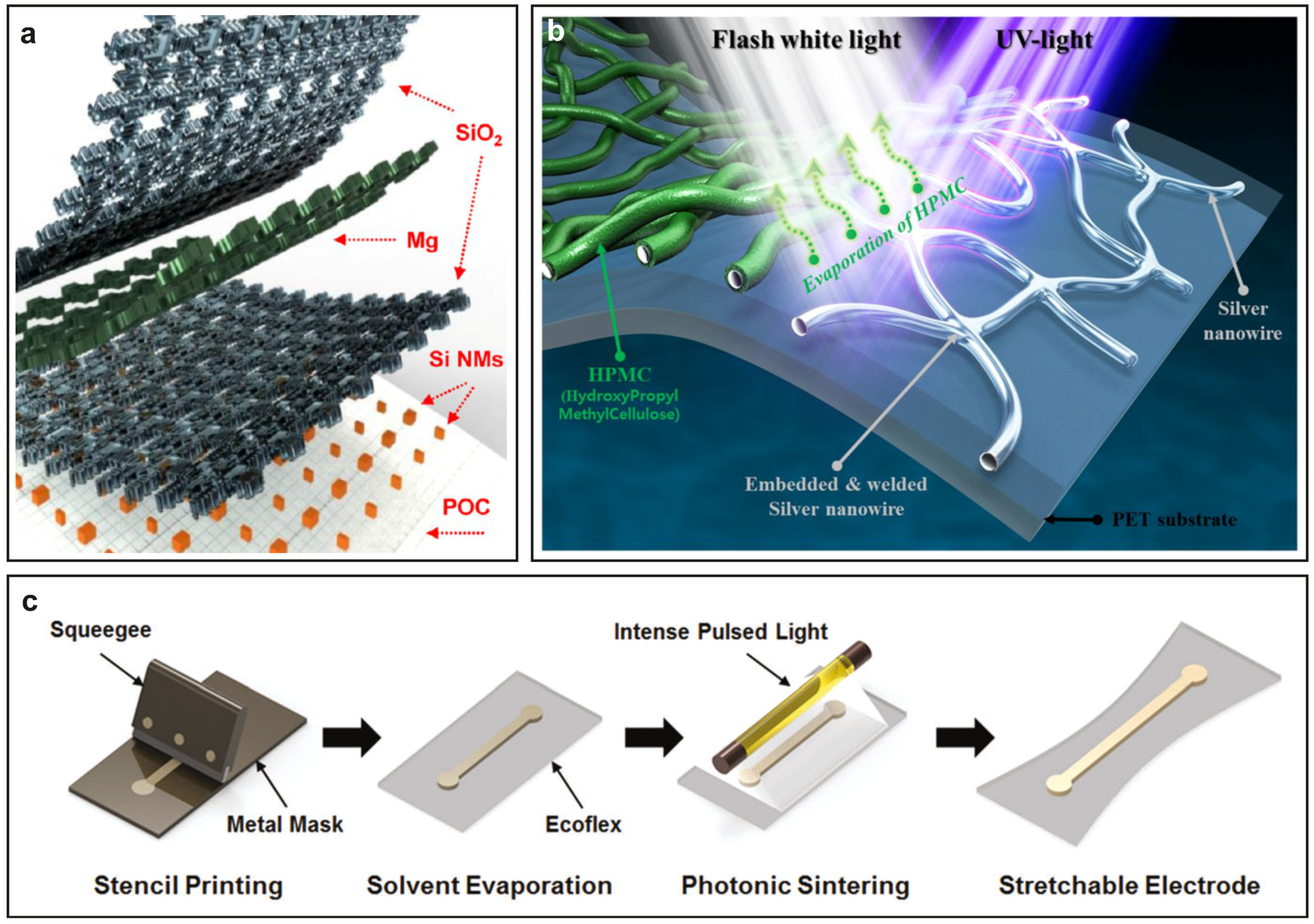 Sociable Nueva Zelanda No haga Technologies | Free Full-Text | Flexible Sensors—From Materials to  Applications