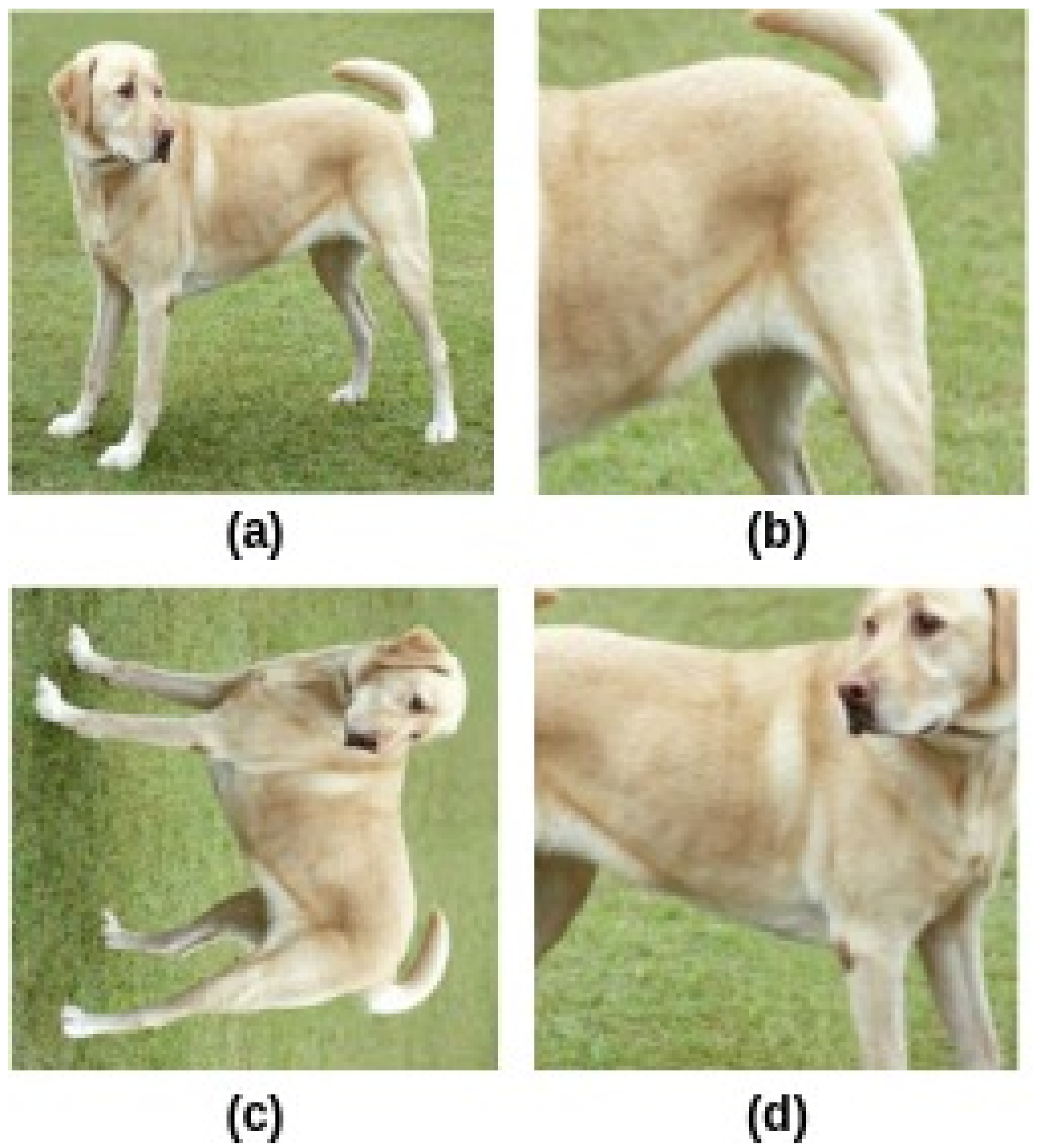 Technologies 09 00002 g005