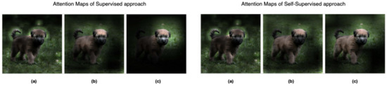 A Survey on Contrastive Self-Supervised Learning