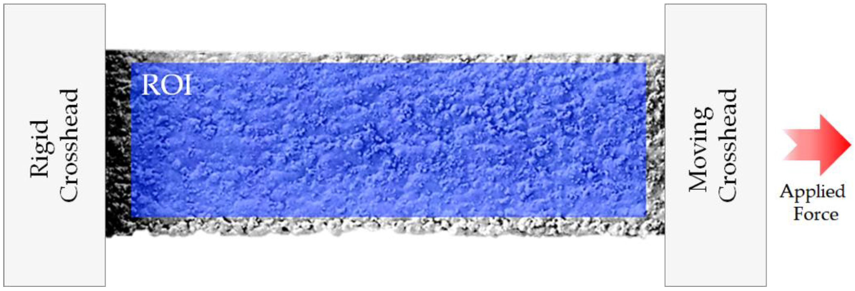 Technologies 09 00021 g006