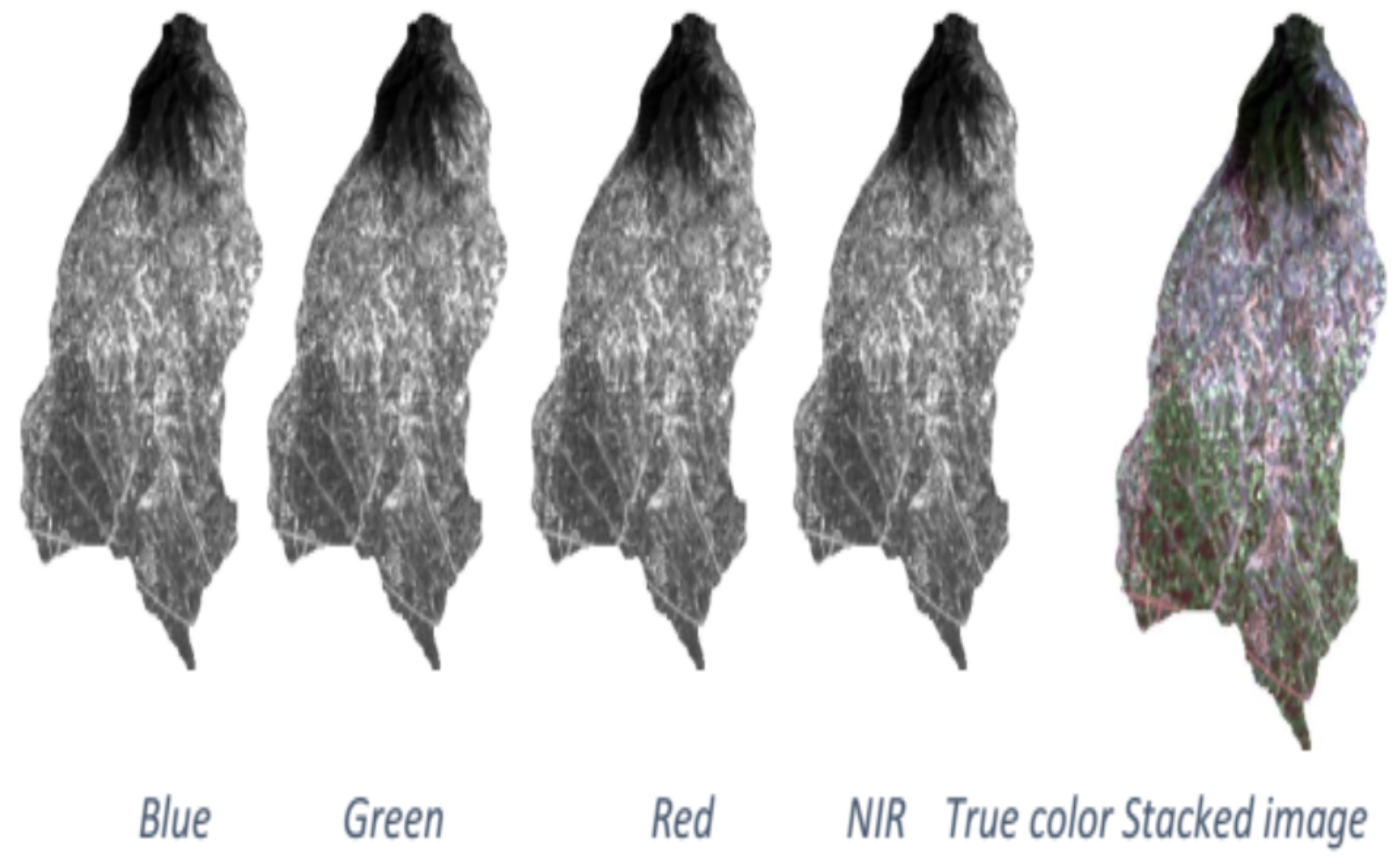 Technologies 10 00017 g003 550