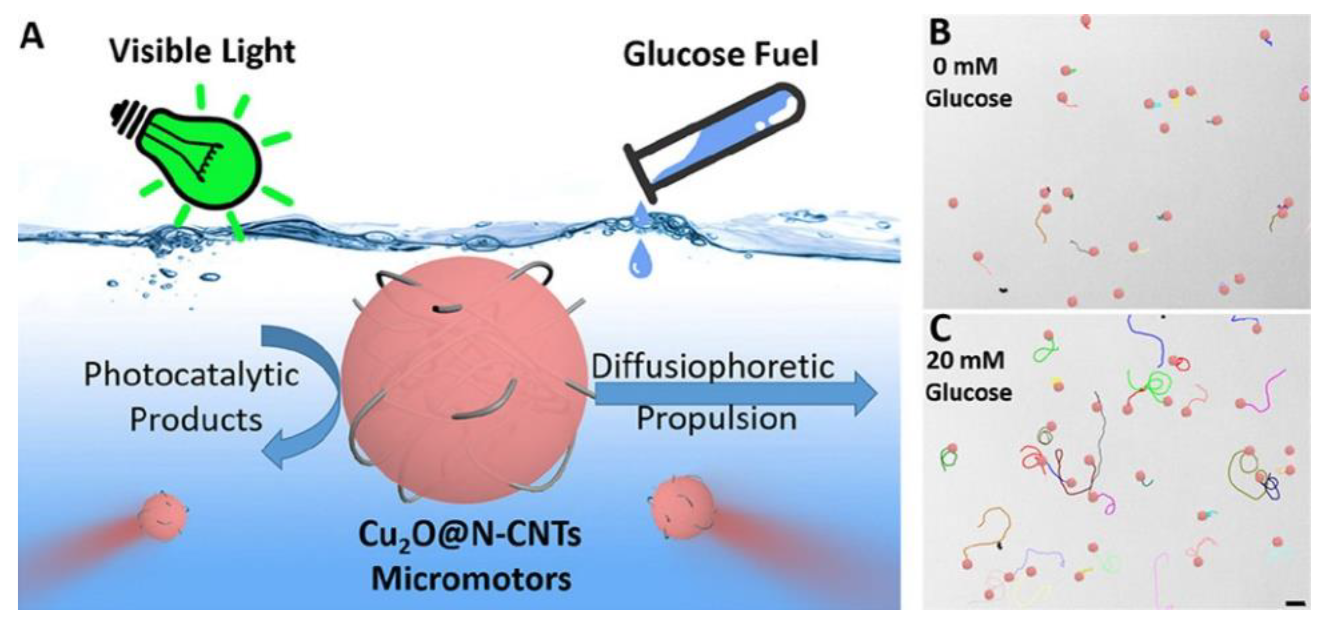 Technologies 10 00096 g006 Technologies 10 00096 g006