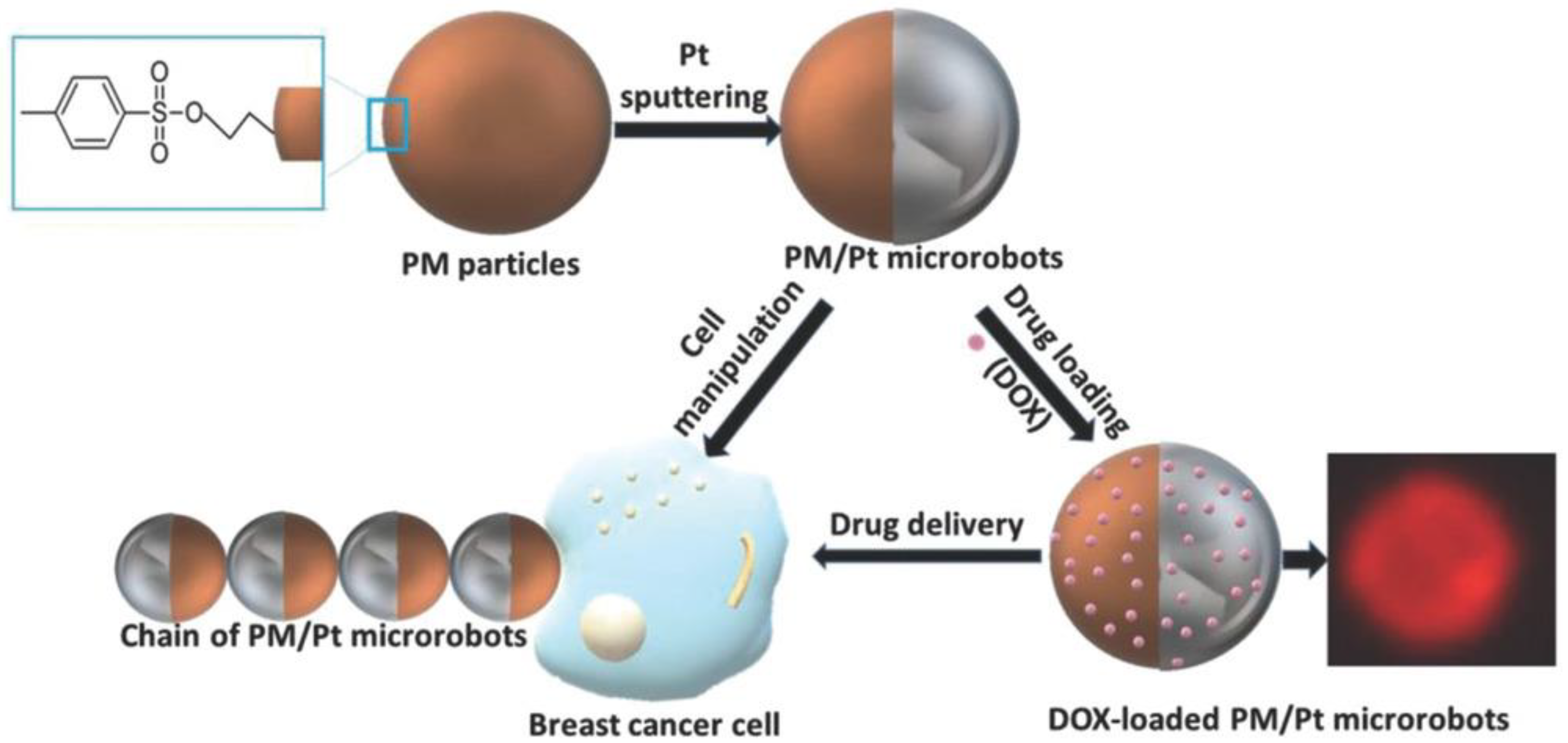 Technologies 10 00096 g009 Technologies 10 00096 g009