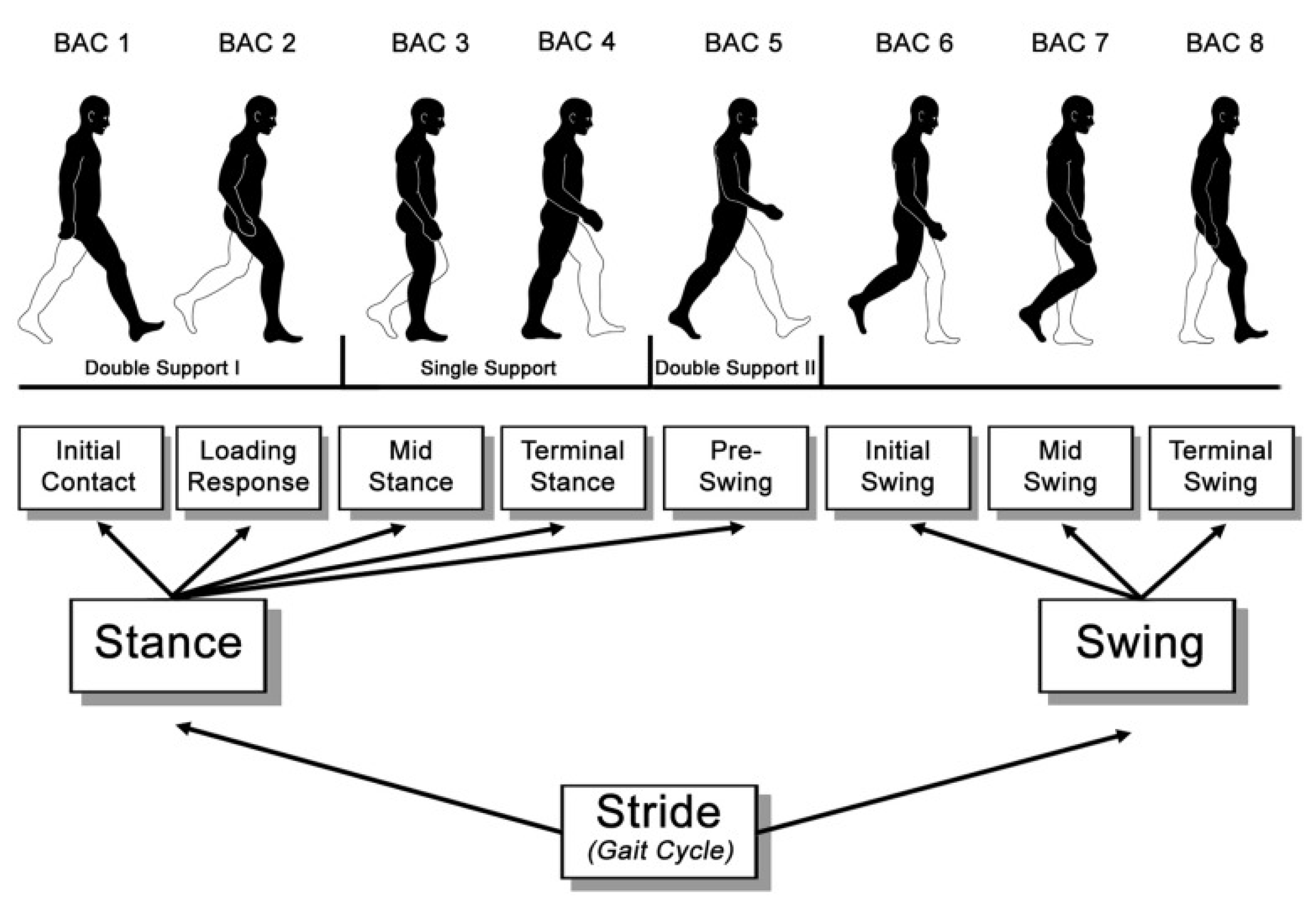 Technologies | Free Full-Text | Assessment of Cognitive Fatigue from Gait Cycle Analysis Technologies | Free Full-Text | Assessment of Cognitive Fatigue from Gait Cycle Analysis