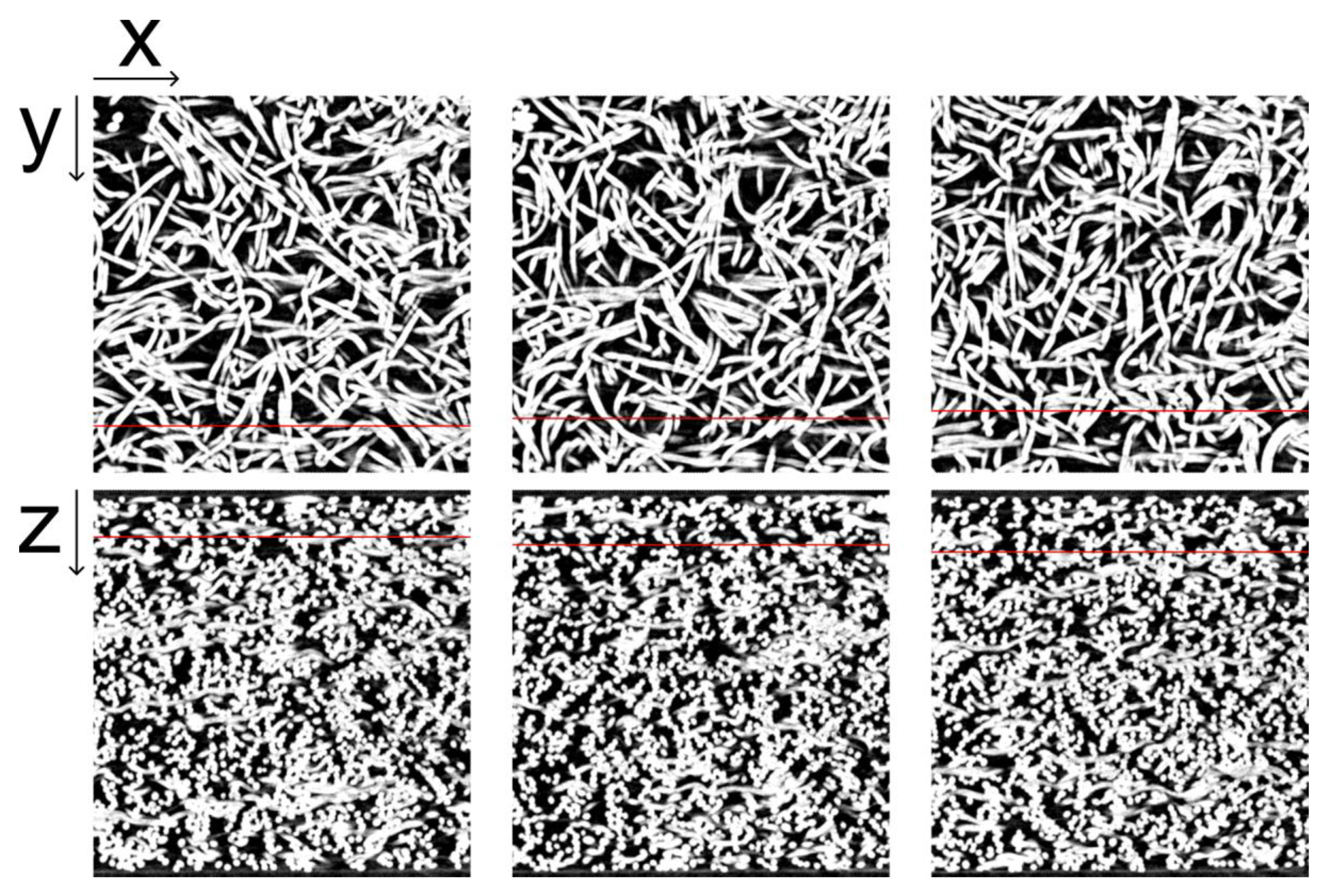 Technologies 11 00052 g008