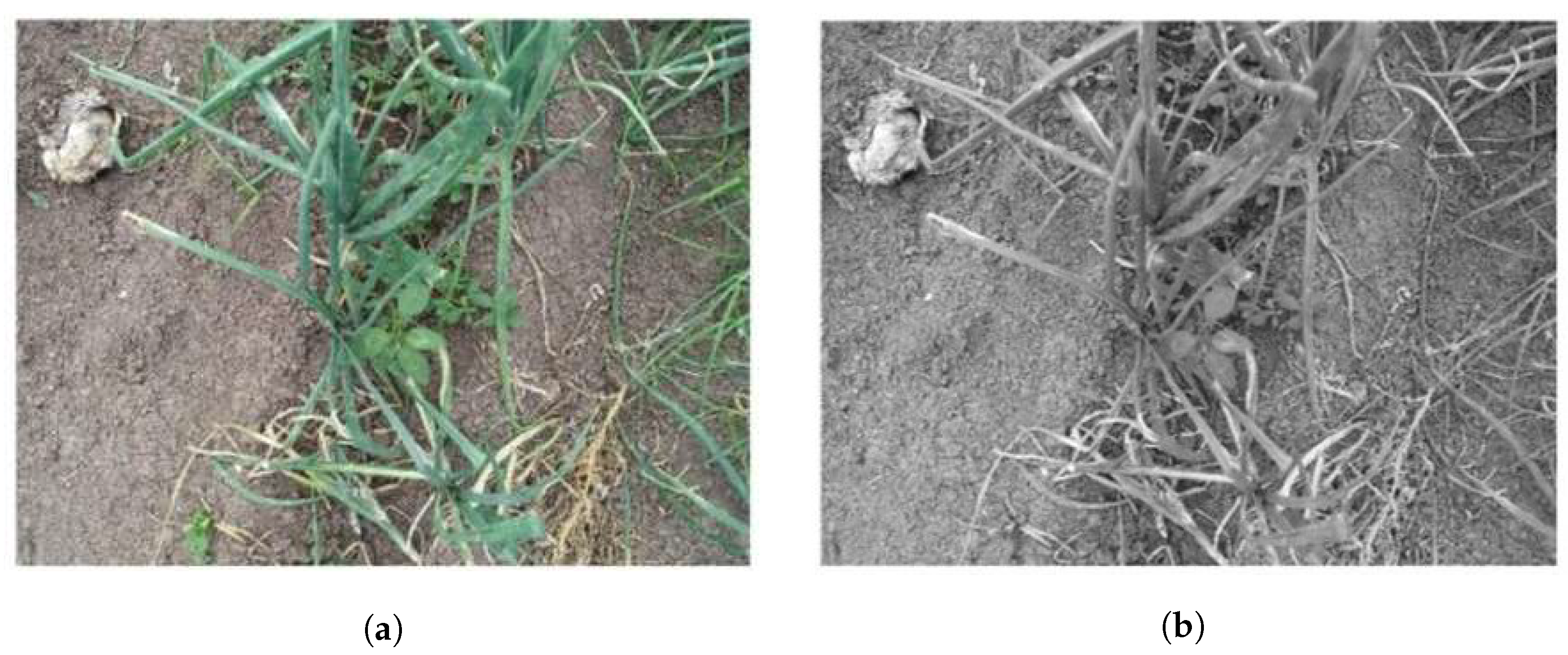 Technologies 11 00067 g006