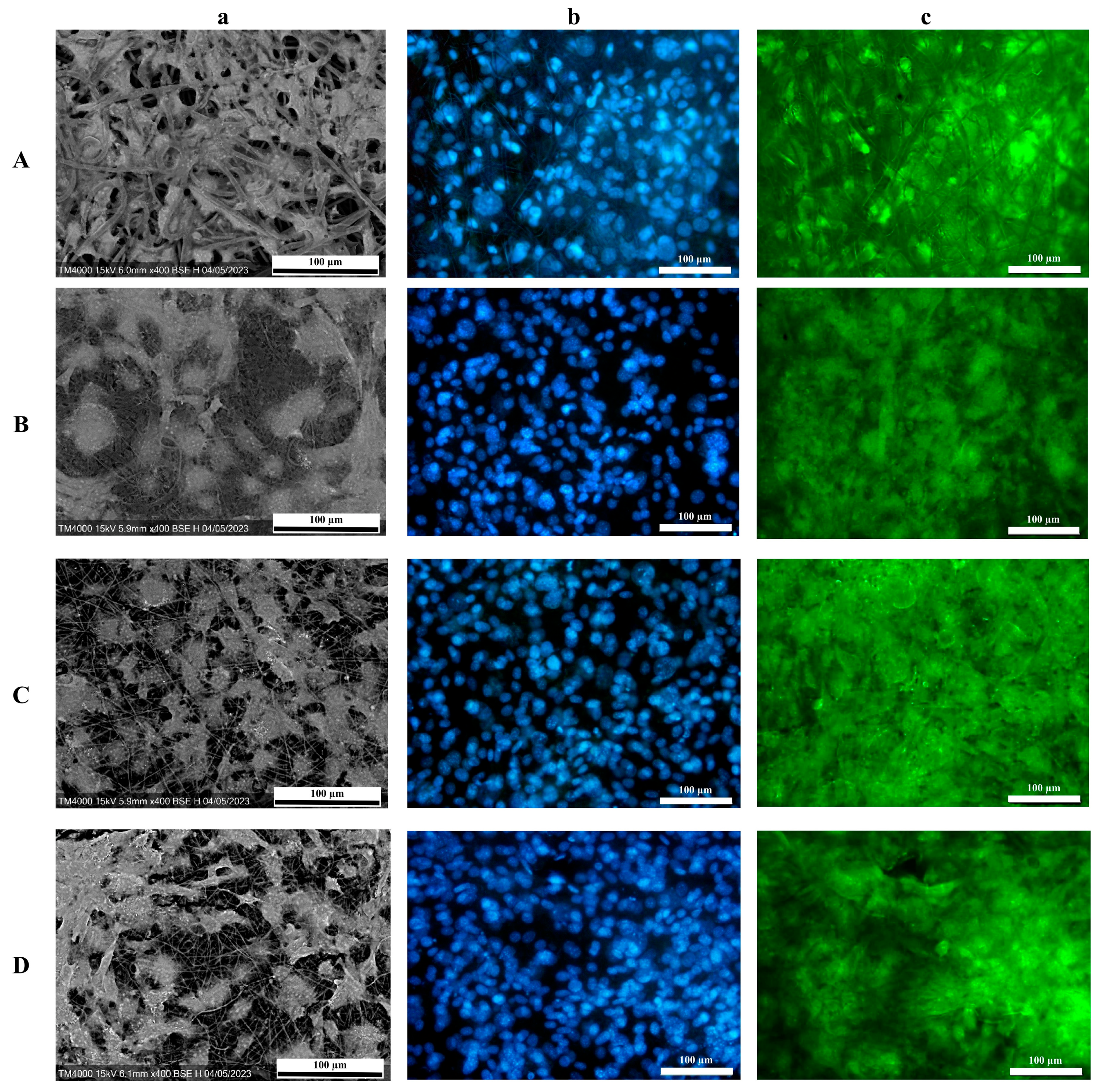 Technologies 11 00106 g007