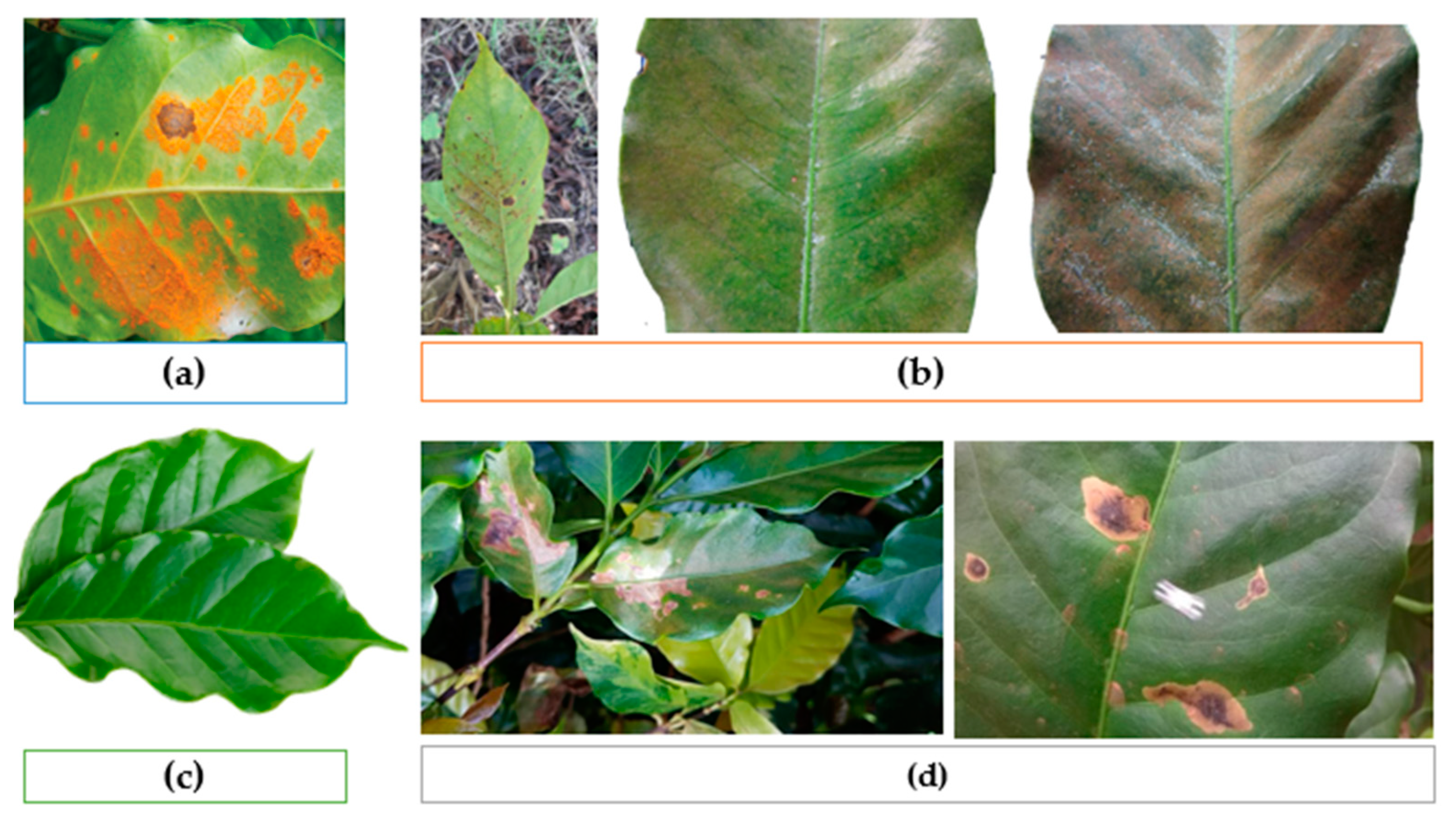 Technologies 11 00116 g003