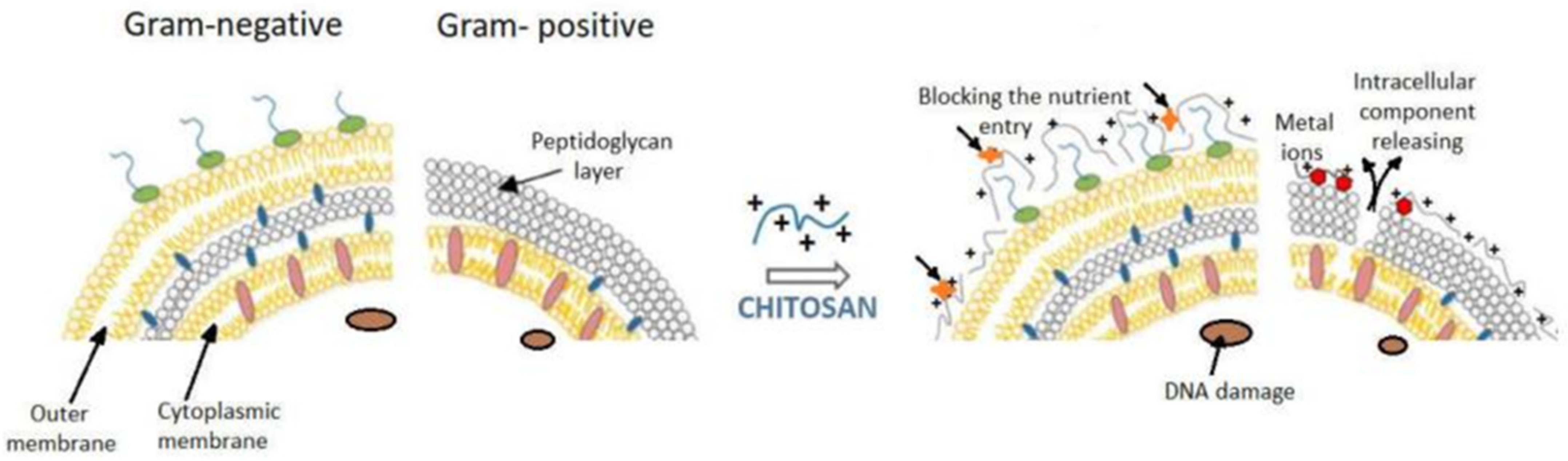 Technologies 11 00135 g001