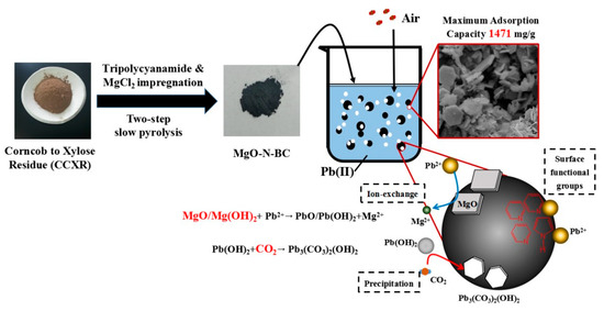【ben】 Utilisation of natural cellulose fibres in wastewater