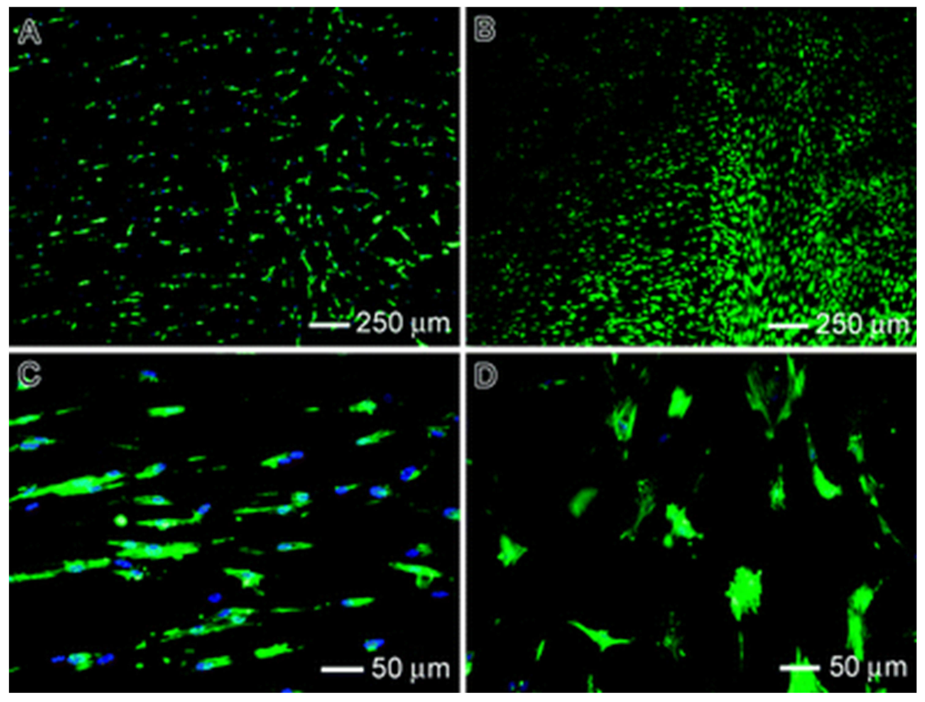 Technologies 11 00150 g002