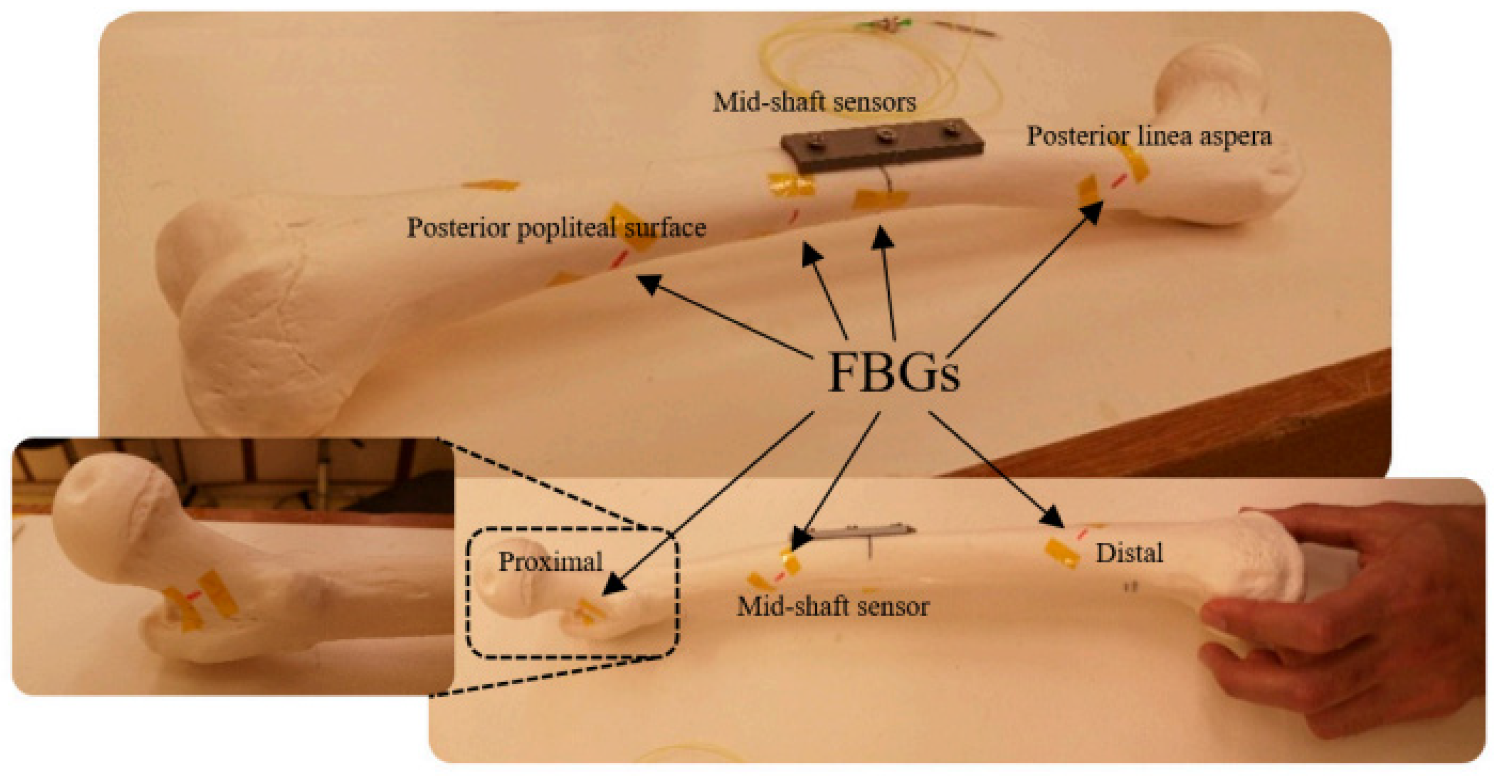 Technologies 11 00157 g006