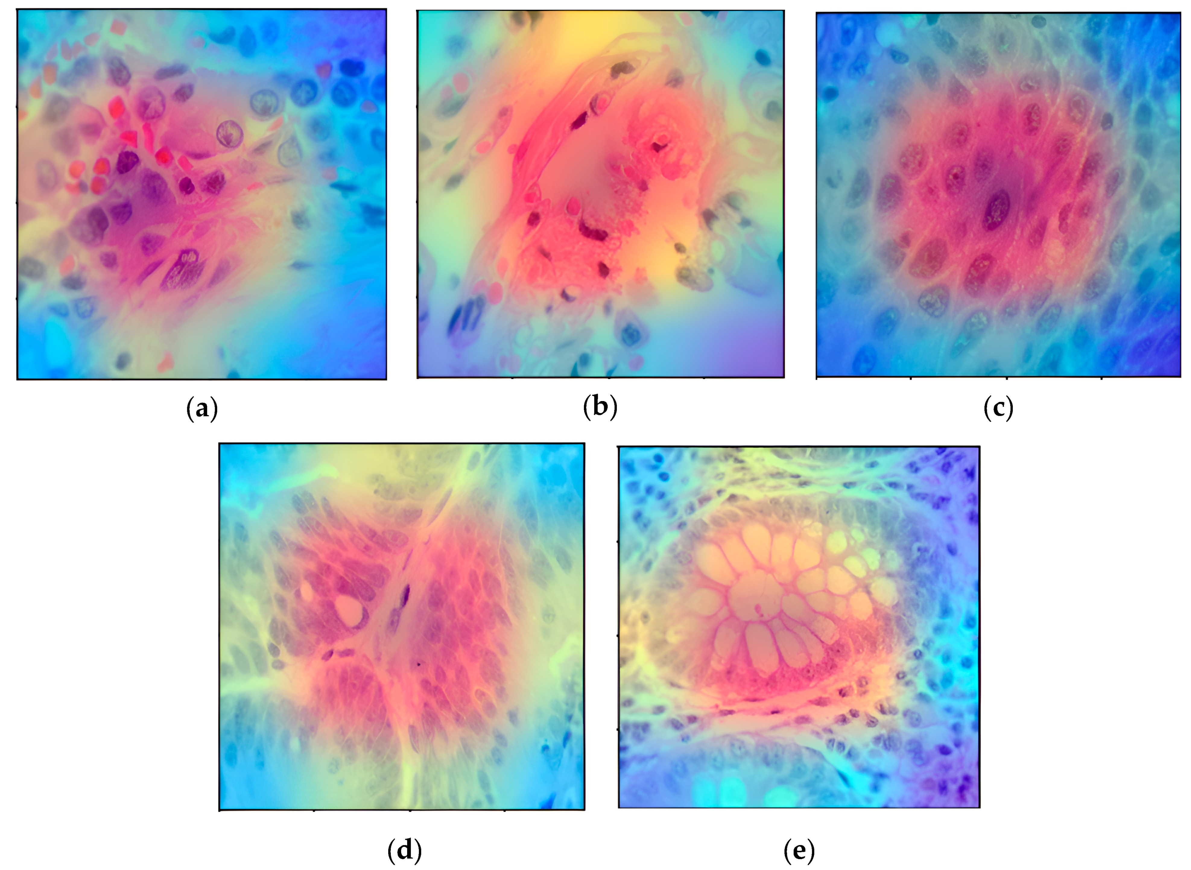 Technologies 12 00056 g007