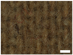 Technologies 12 00079 i007