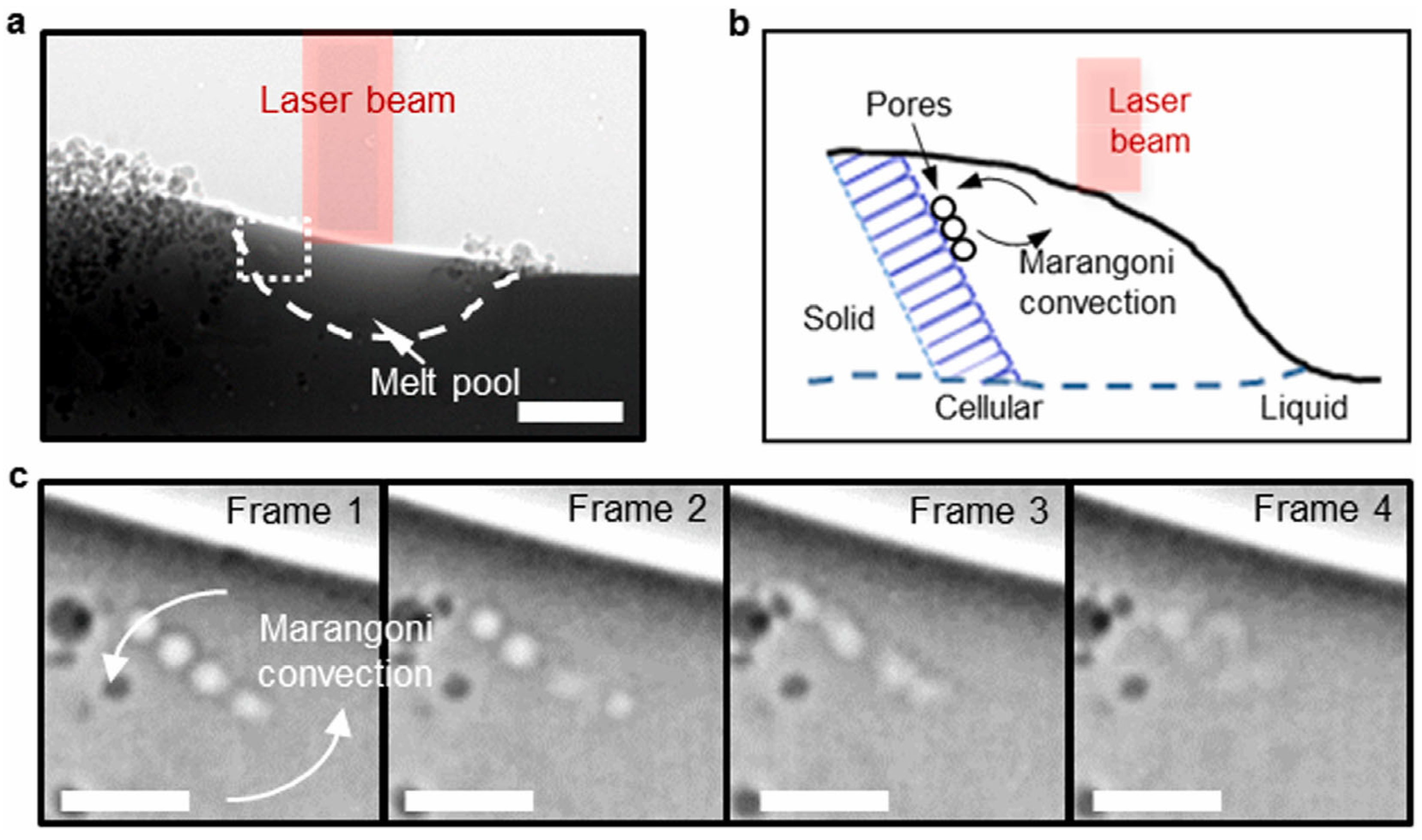 Technologies 12 00086 g010