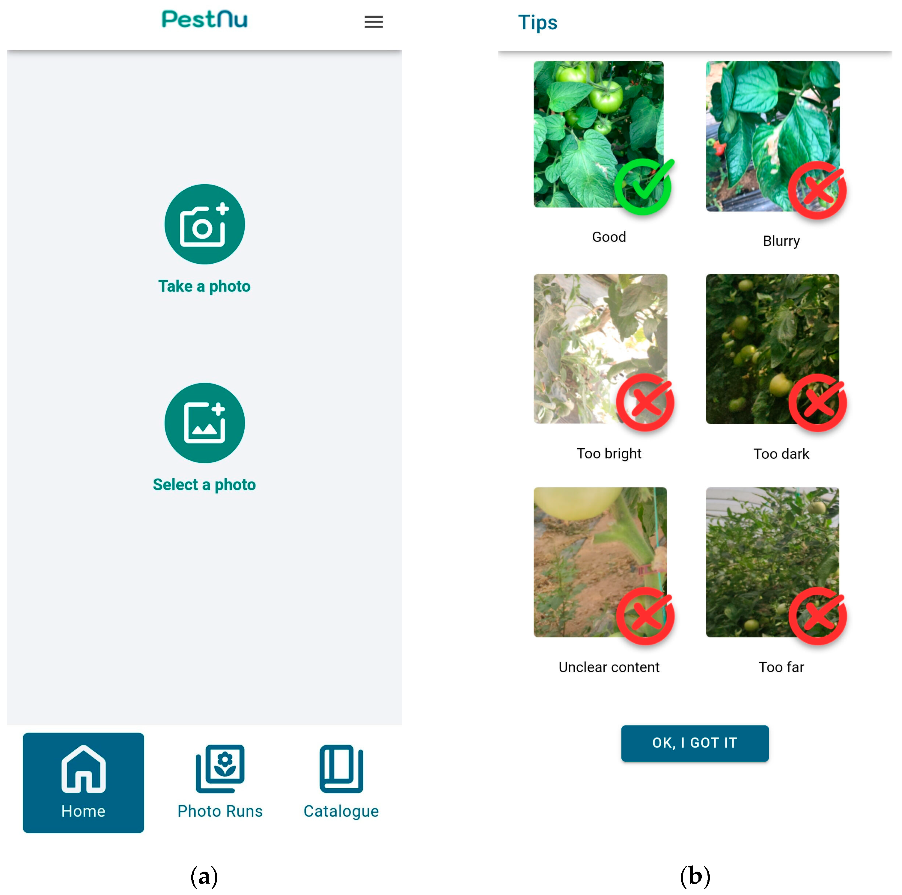 Technologies 12 00101 g002