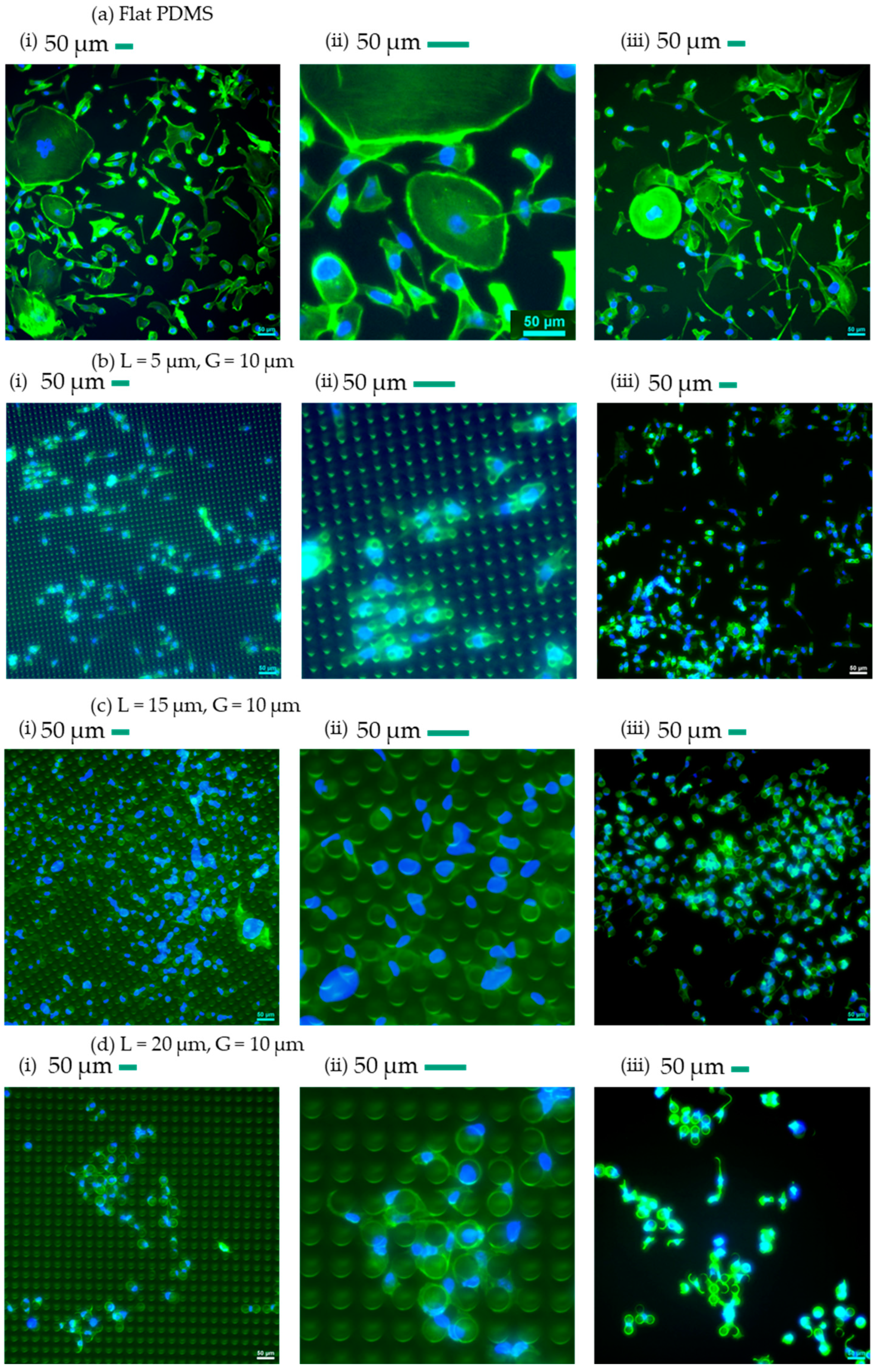 Technologies 12 00130 g003