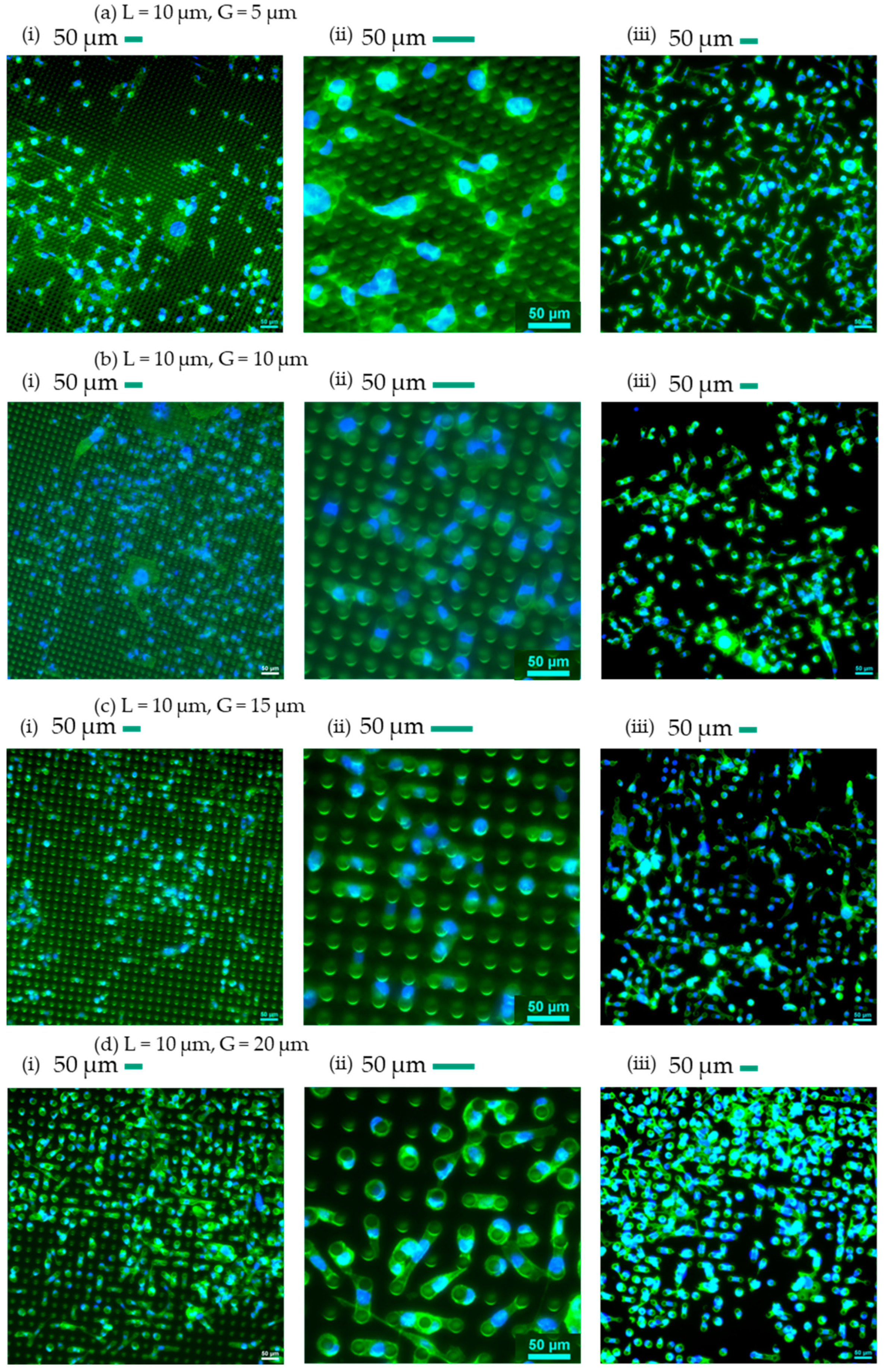 Technologies 12 00130 g004