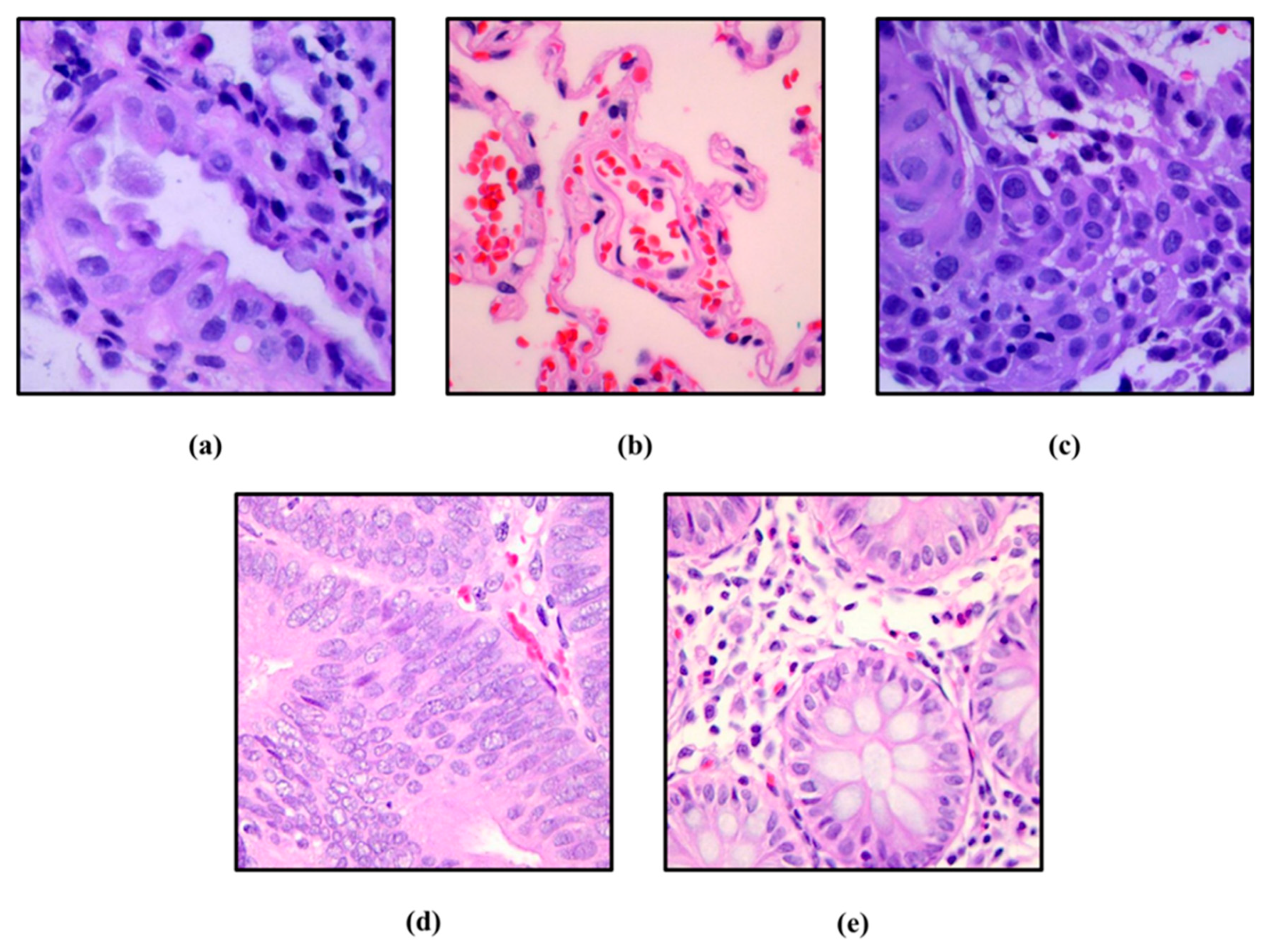 Technologies 12 00151 g005