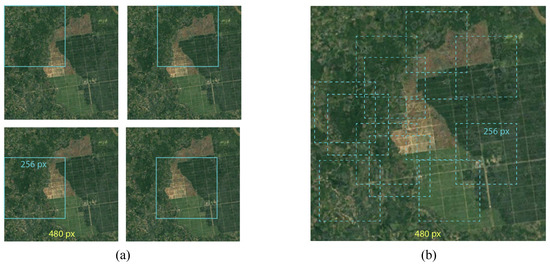 Change Detection for Forest Ecosystems Using Remote Sensing Images with ...