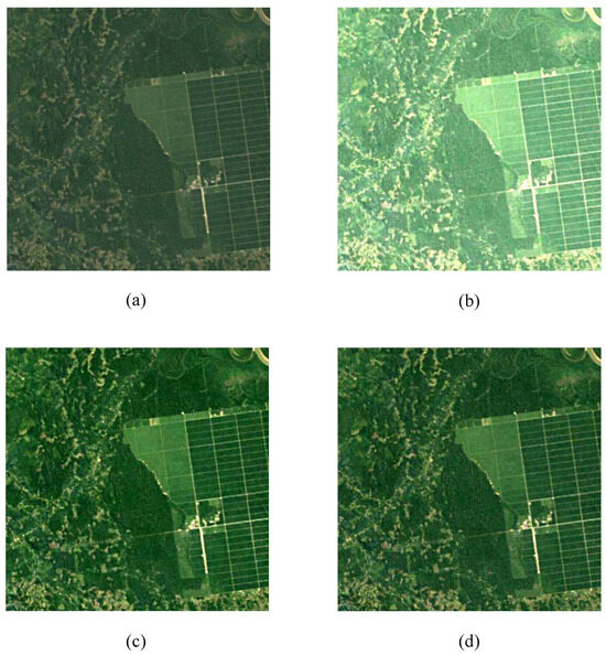 Change Detection for Forest Ecosystems Using Remote Sensing Images with ...
