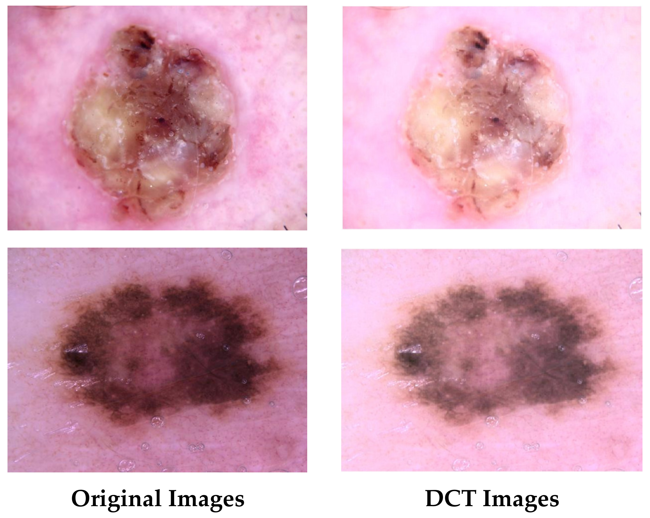 Technologies 12 00190 g003