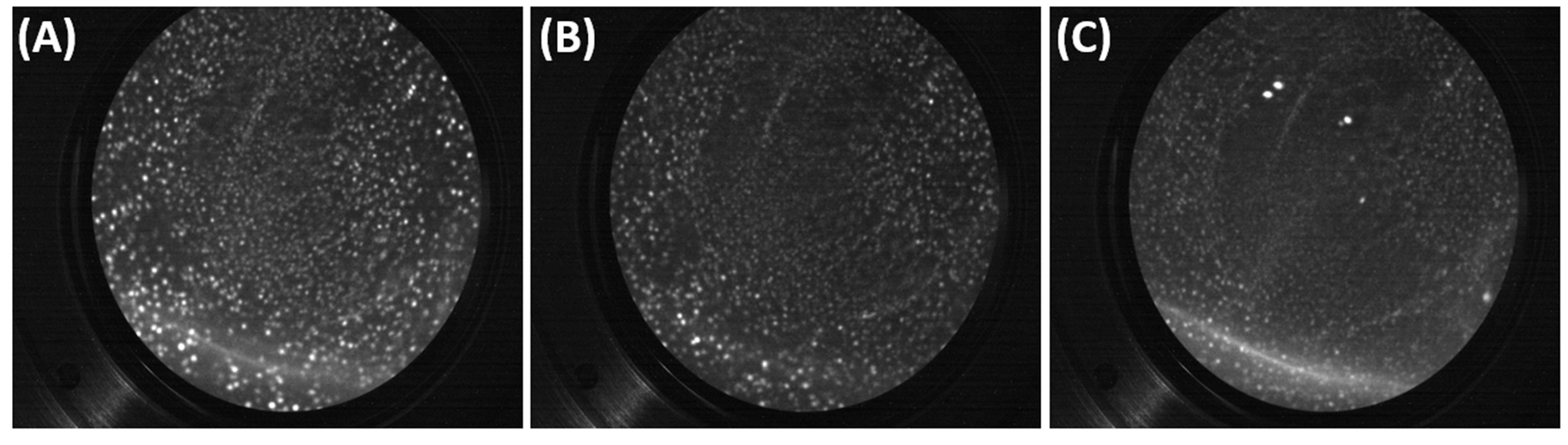 Technologies 12 00193 g008