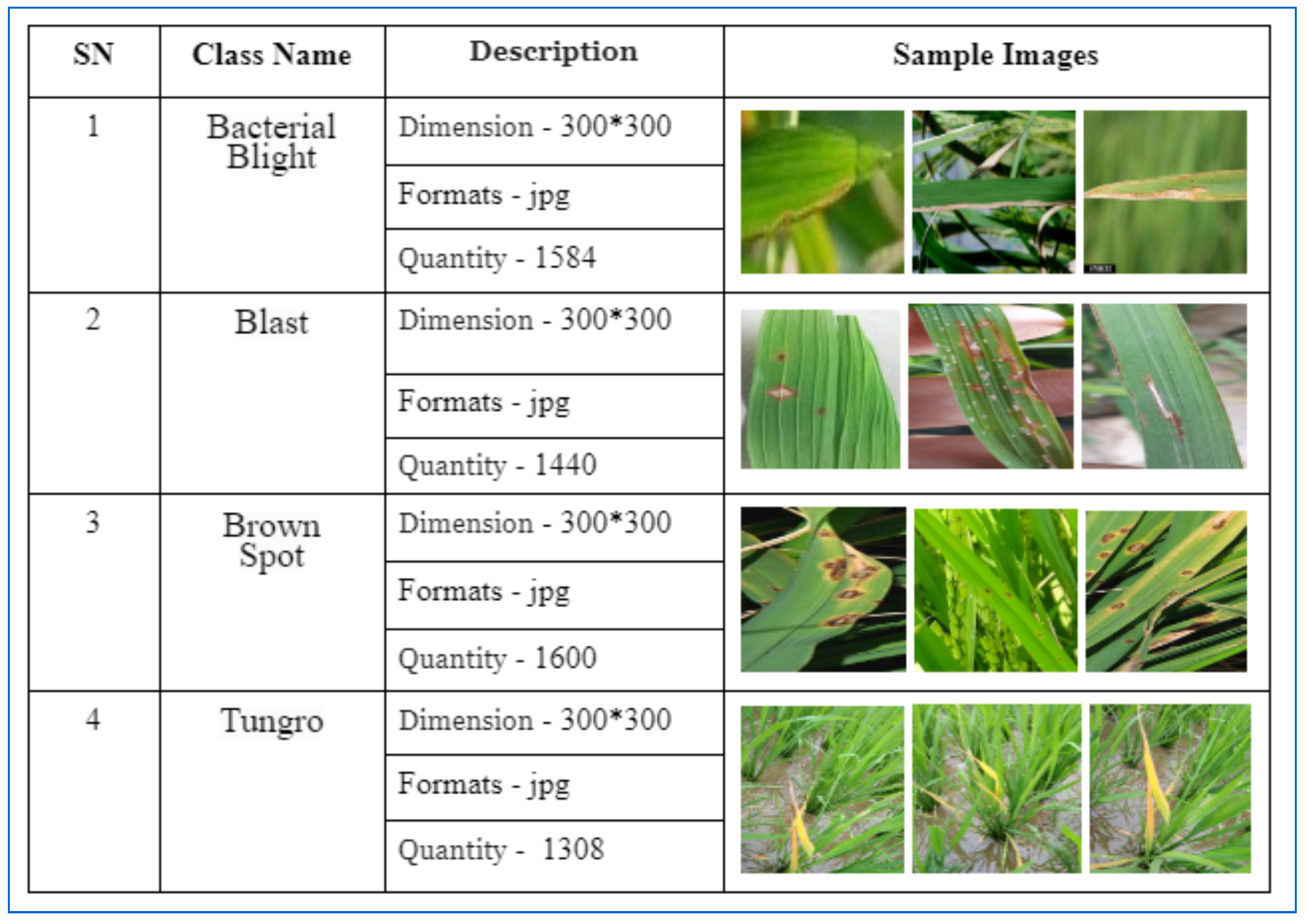 Technologies 12 00214 g002