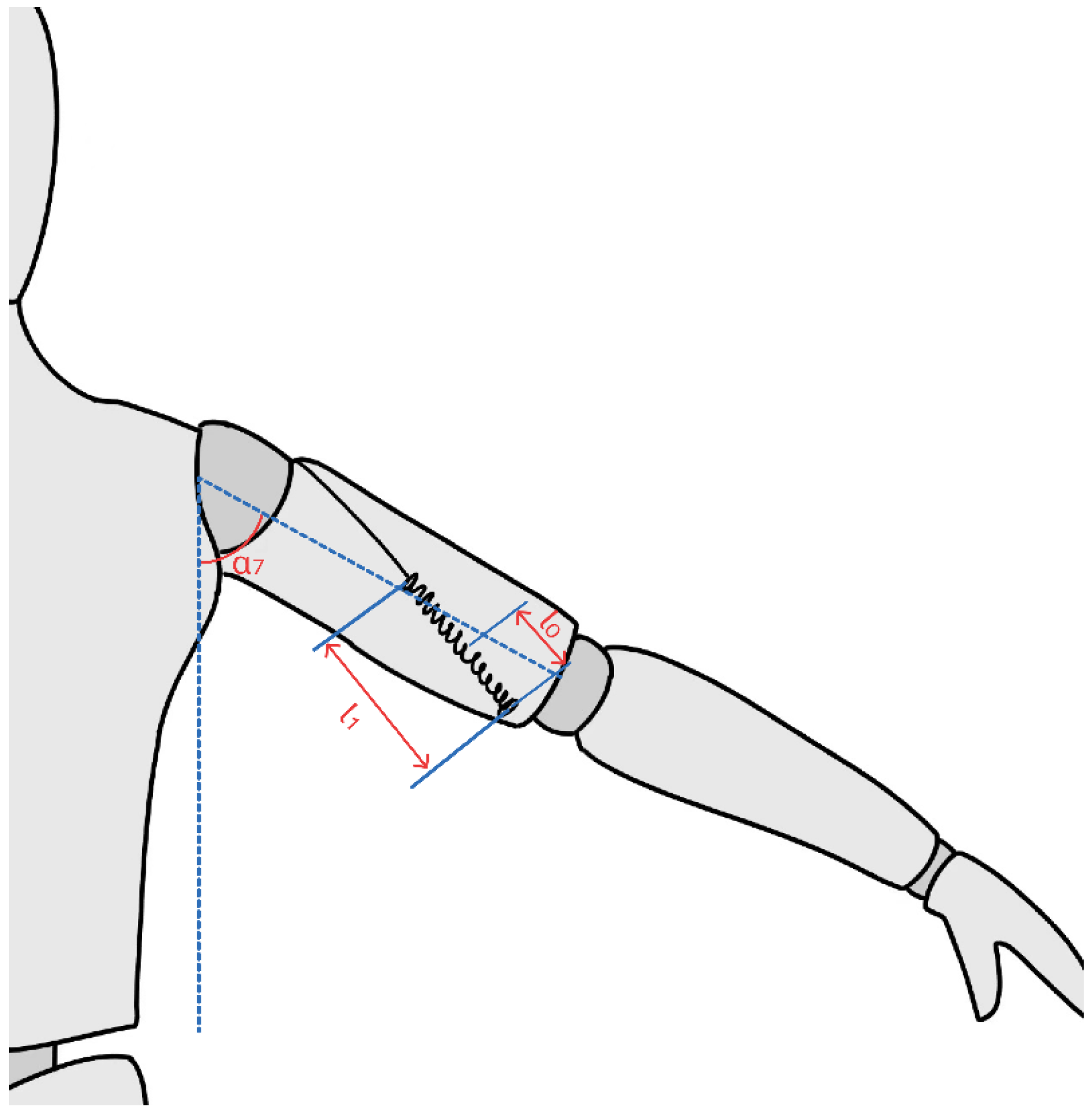 Technologies 12 00238 g006