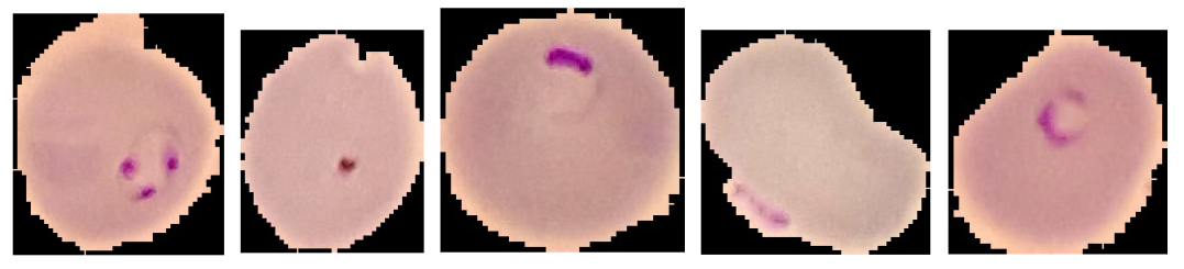 Technologies 12 00247 i001