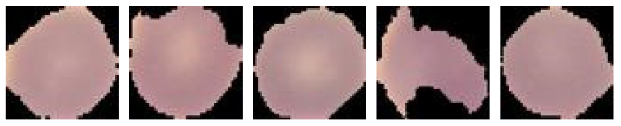 Technologies 12 00247 i004