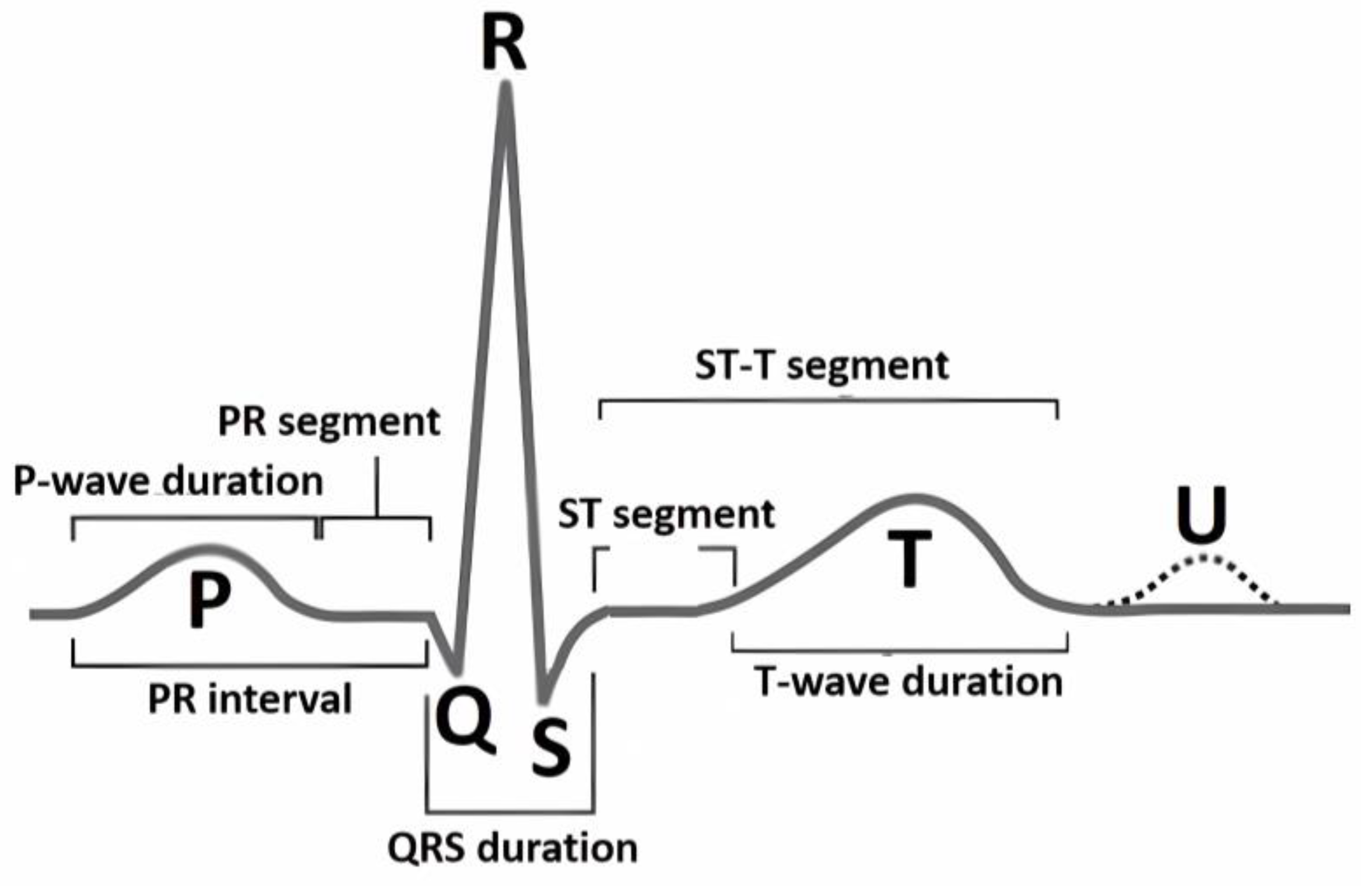 Technologies 13 00034 g001